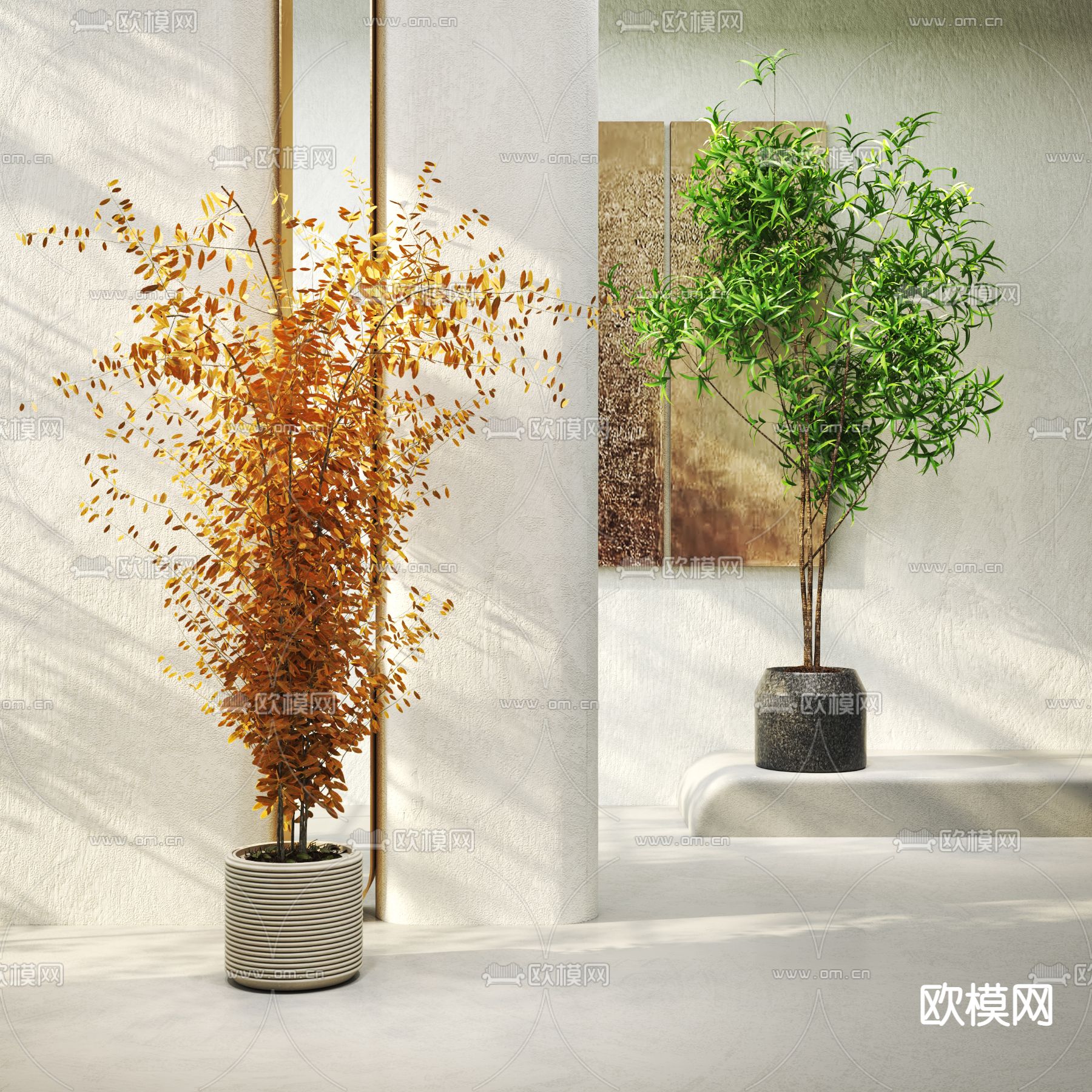 杨树凤尾竹绿植盆栽3d模型下载_ID12041338_3dmax免费模型-欧模网