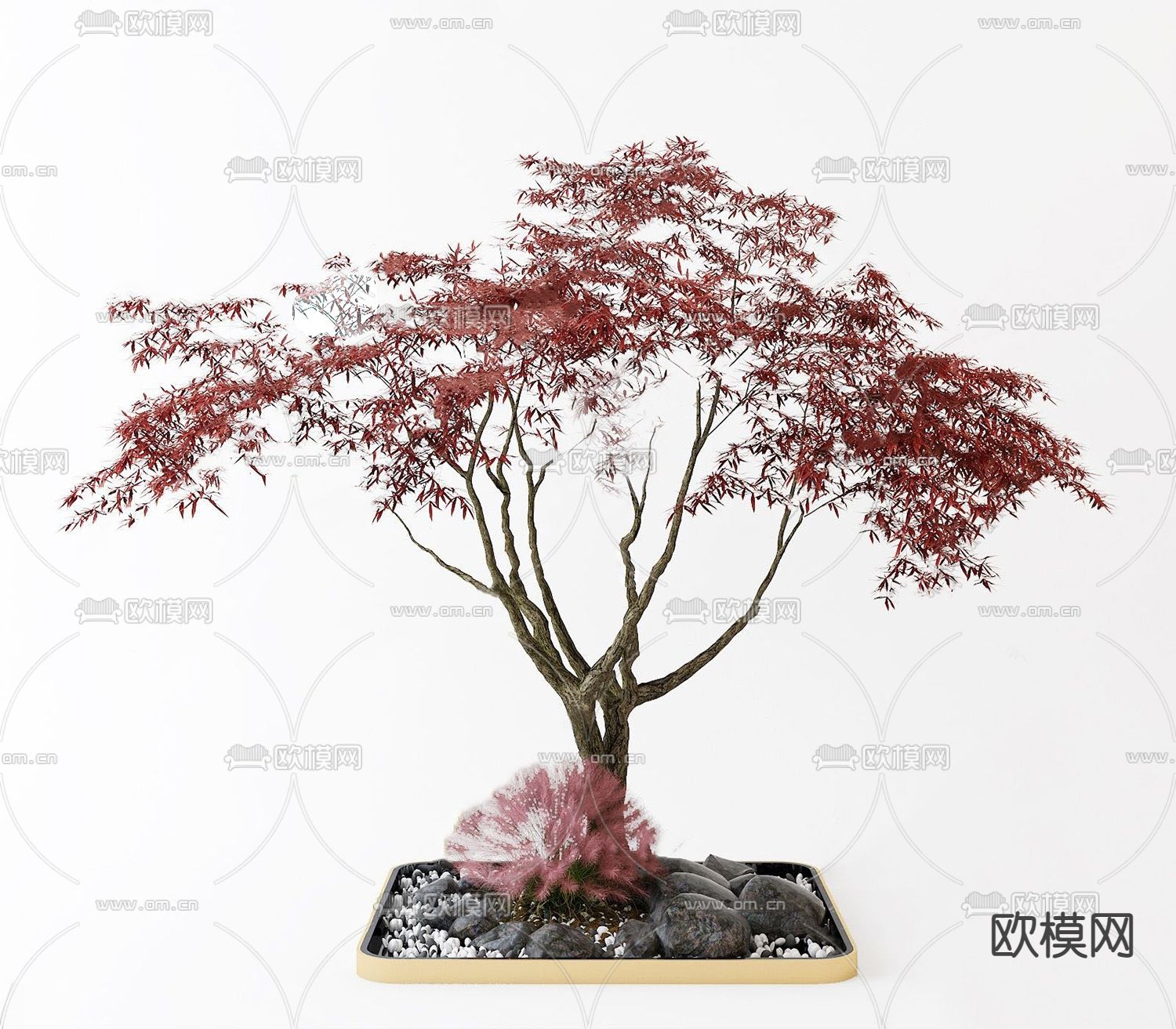 新中式盆景红杉树su模型下载（渲染图1）
