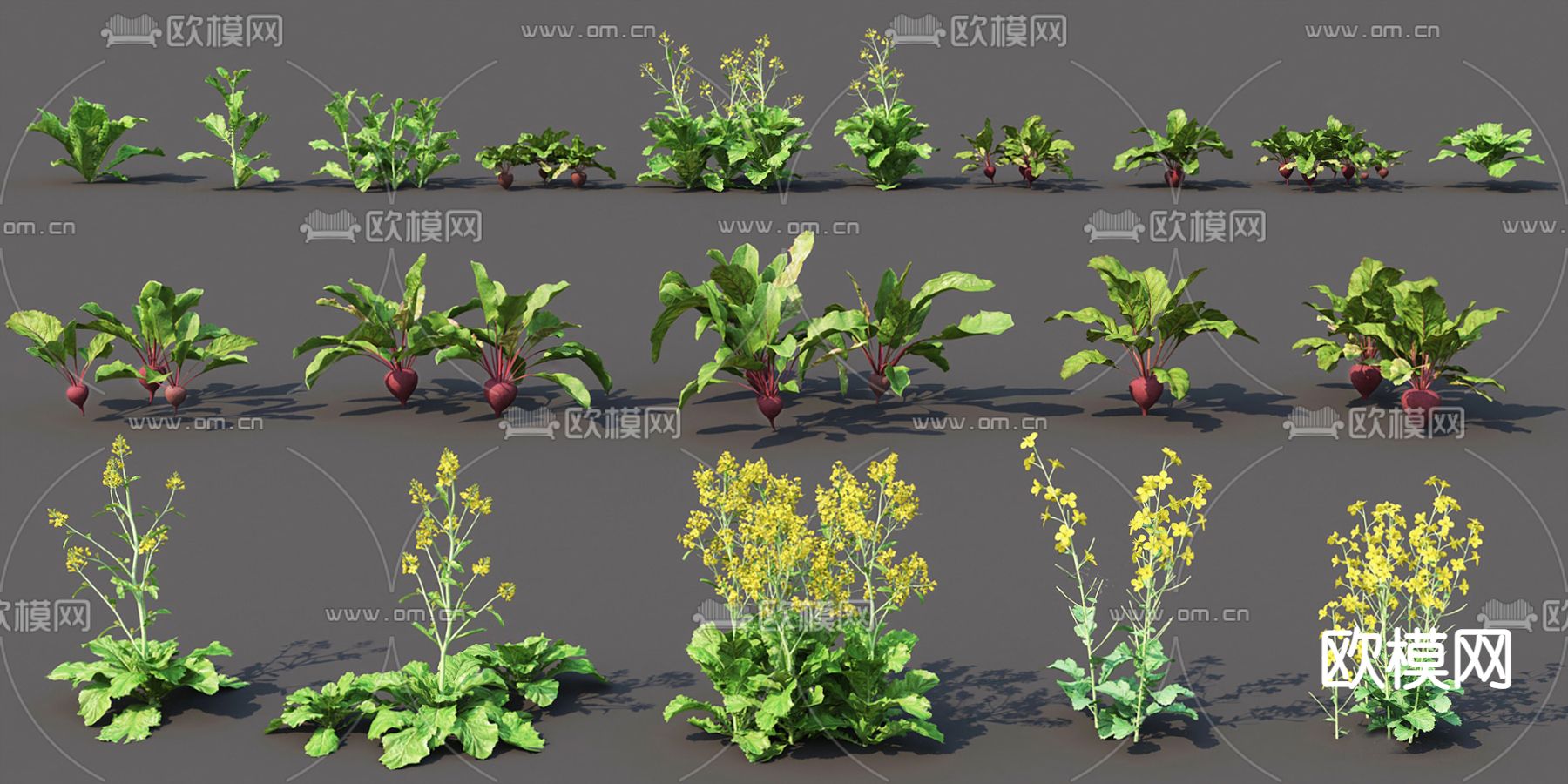 现代蔬菜农作物植物su模型