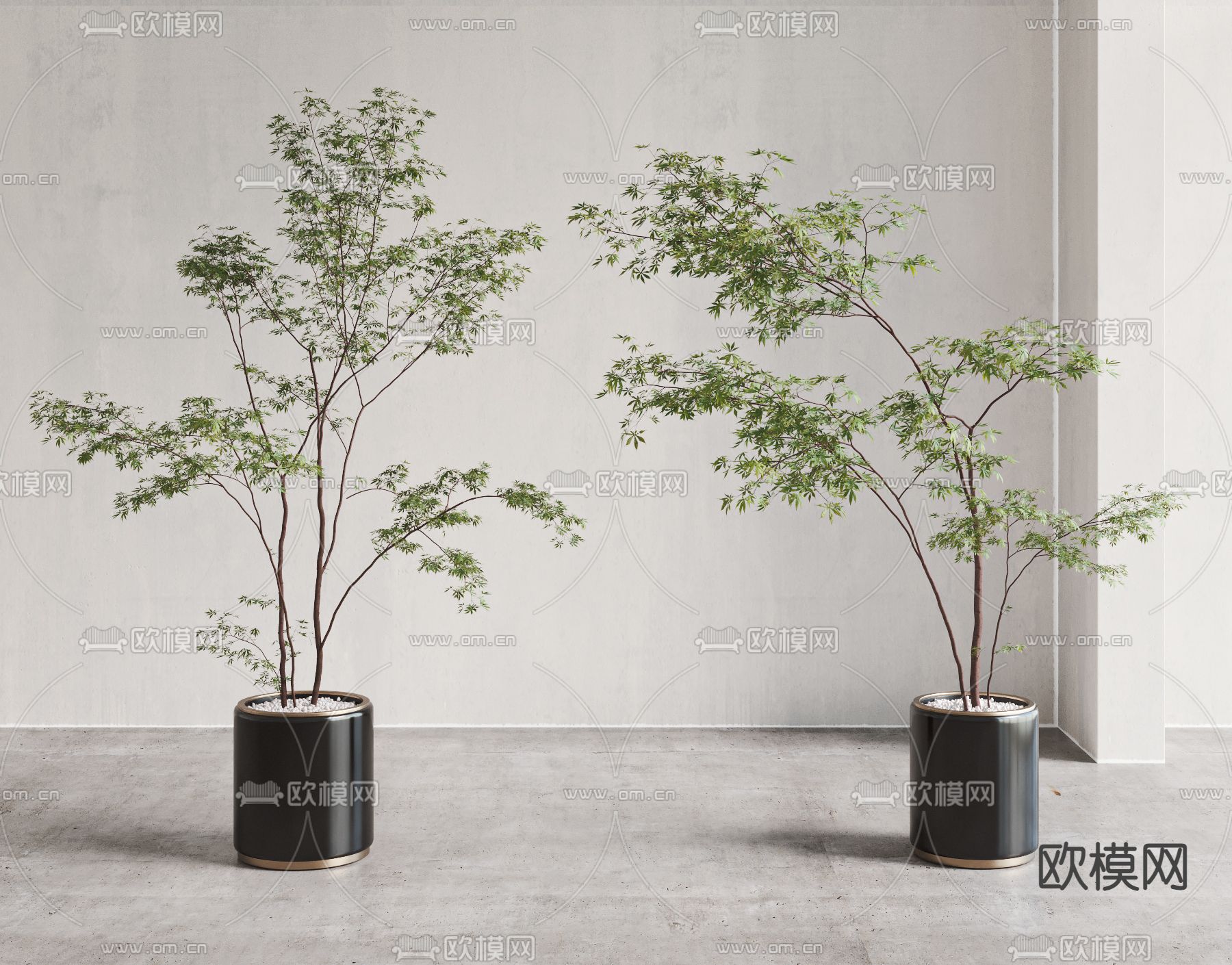 现代马醉木植物盆栽3d模型下载_ID12042214_3dmax免费模型-欧模网