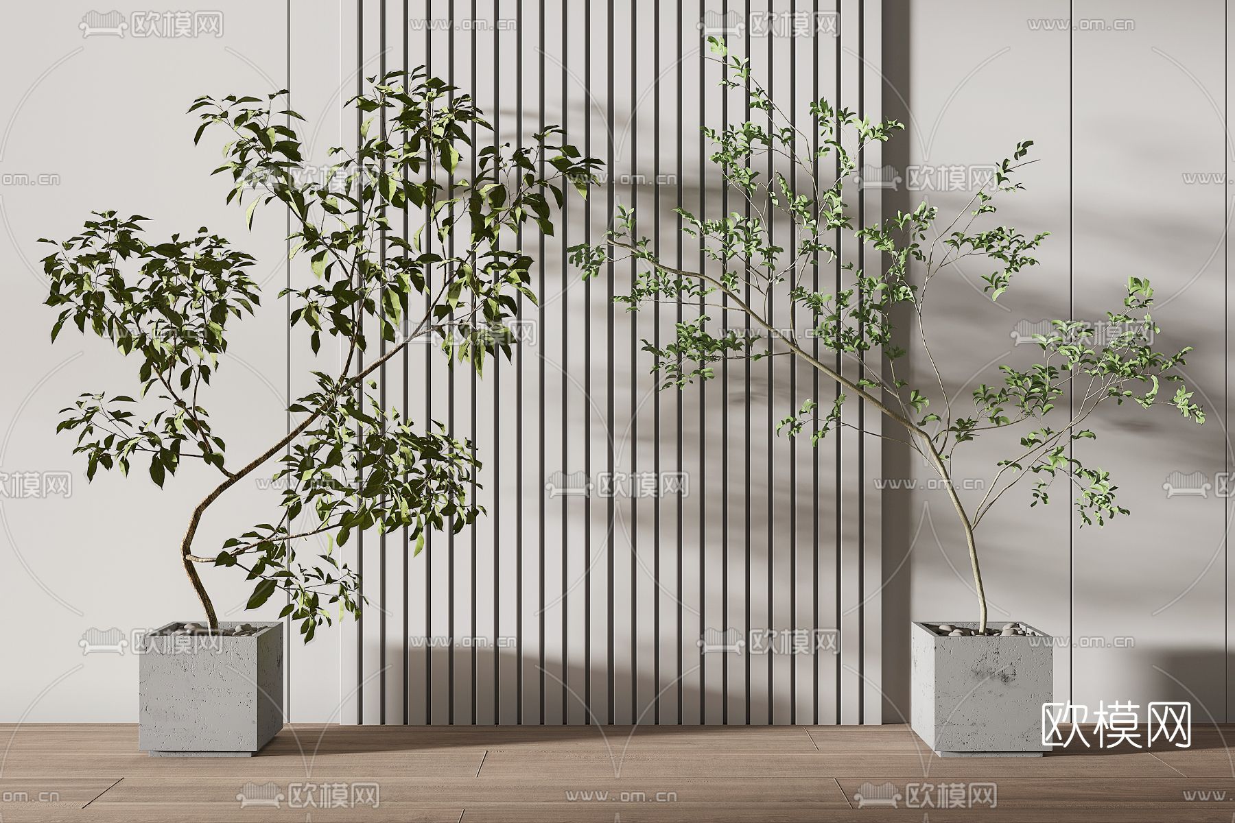 现代绿植盆栽3d模型