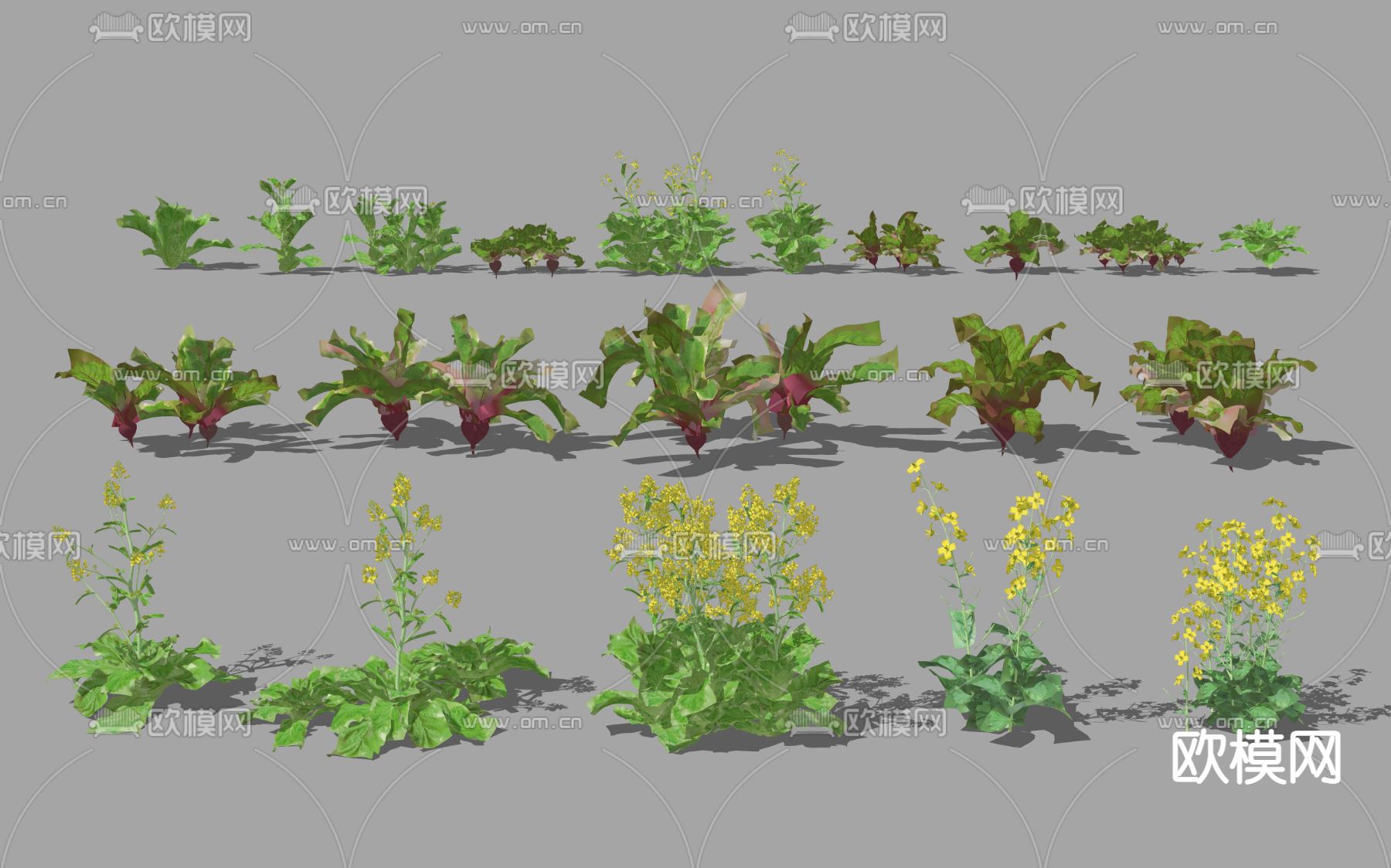 现代蔬菜农作物植物su模型