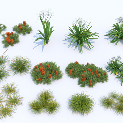  现代花卉花草su模型 