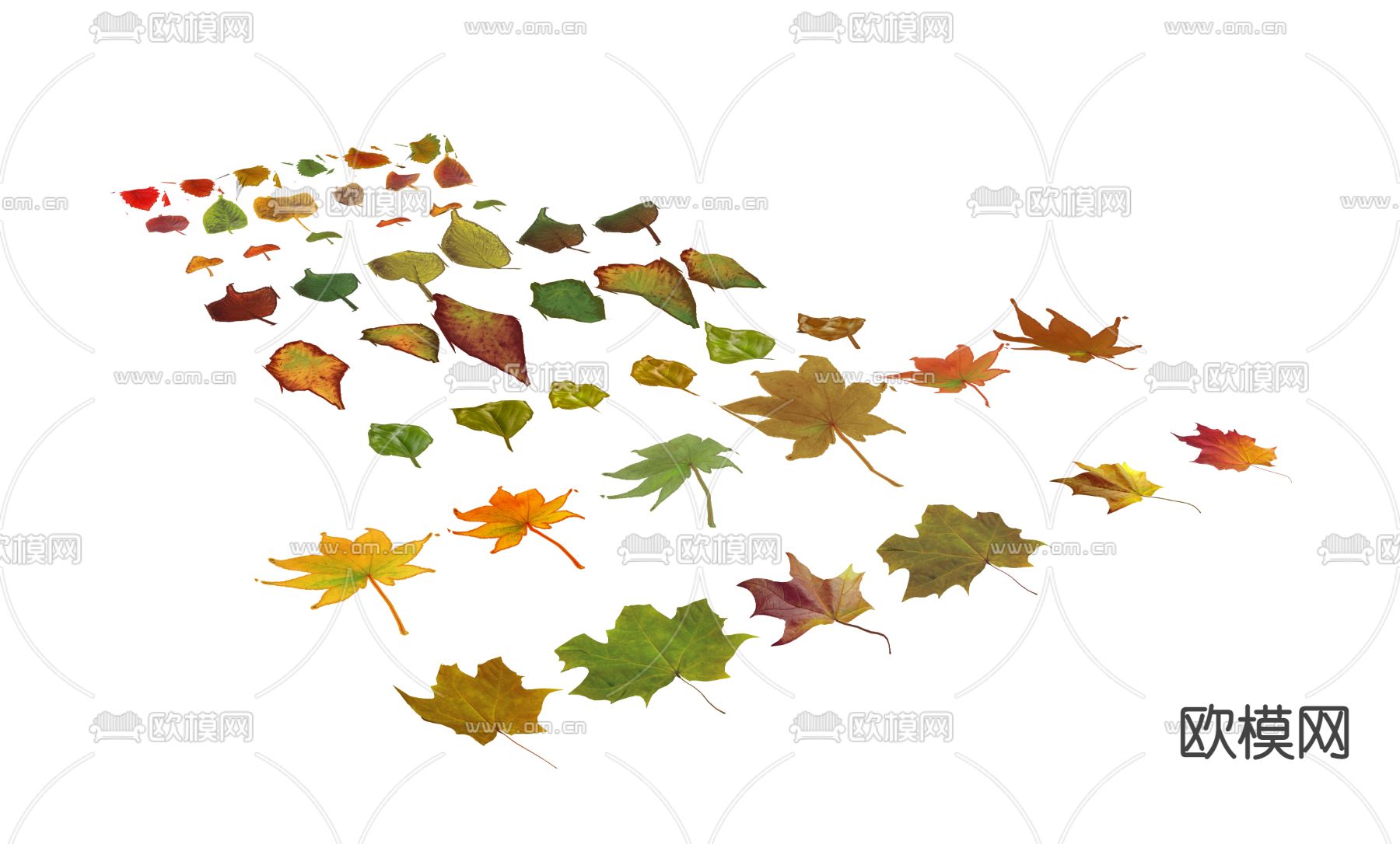 现代枫叶红树叶su模型下载（渲染图2）