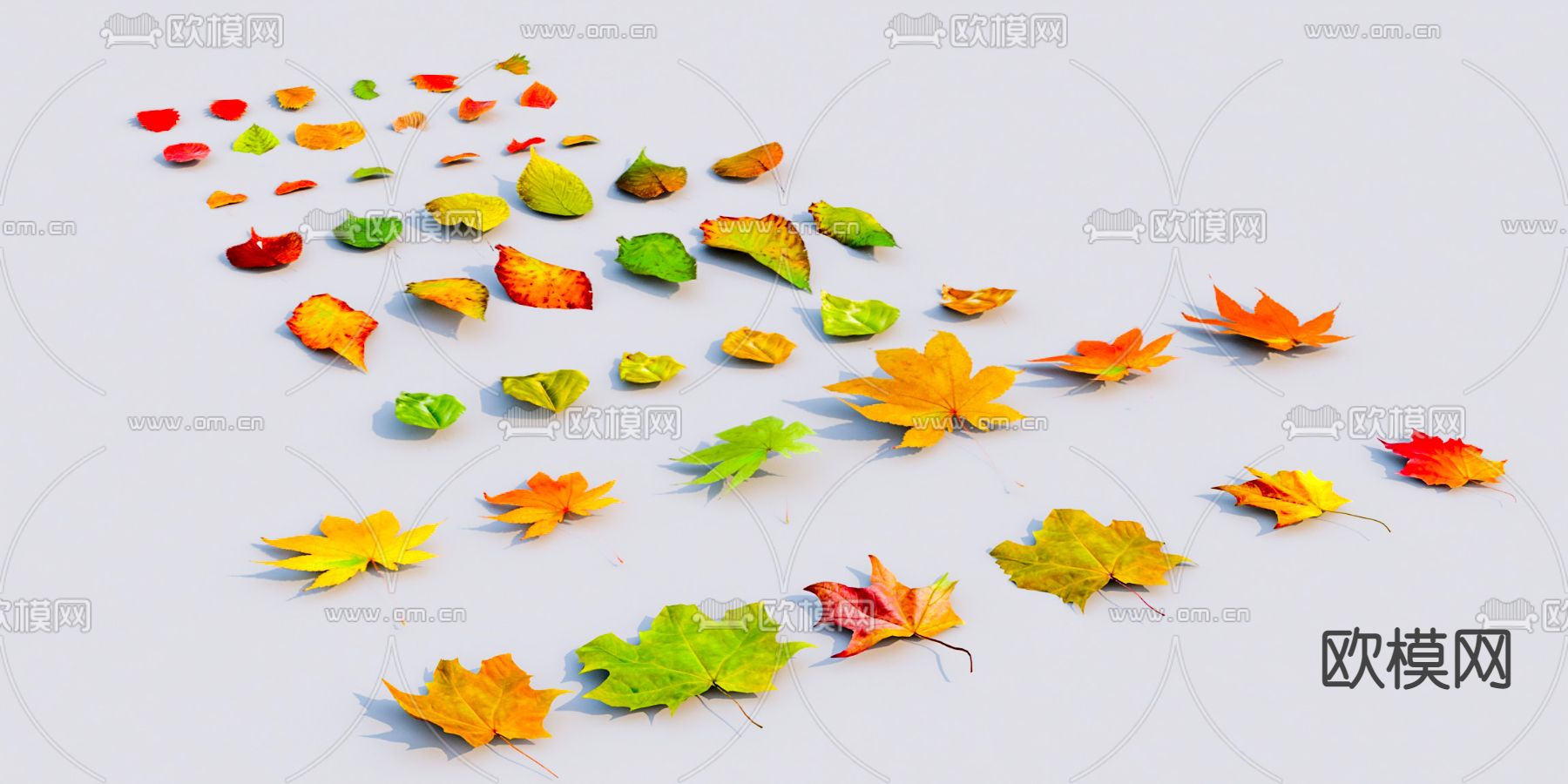 现代枫叶红树叶su模型下载（渲染图1）