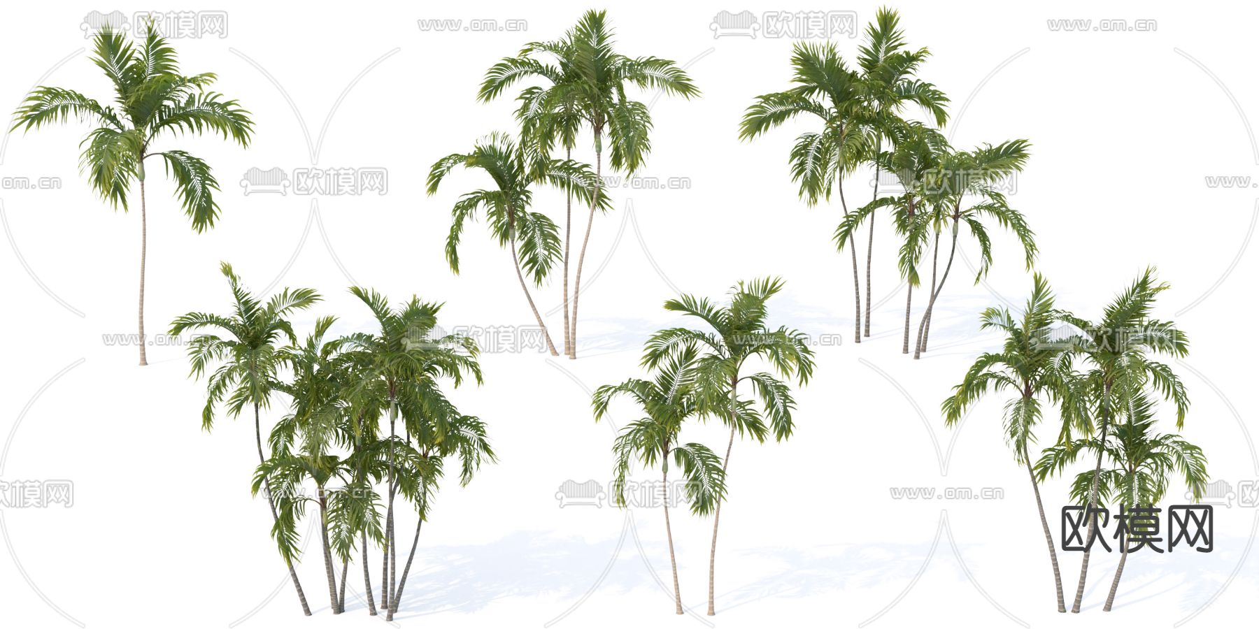现代椰子树棕榈树su模型下载（渲染图1）