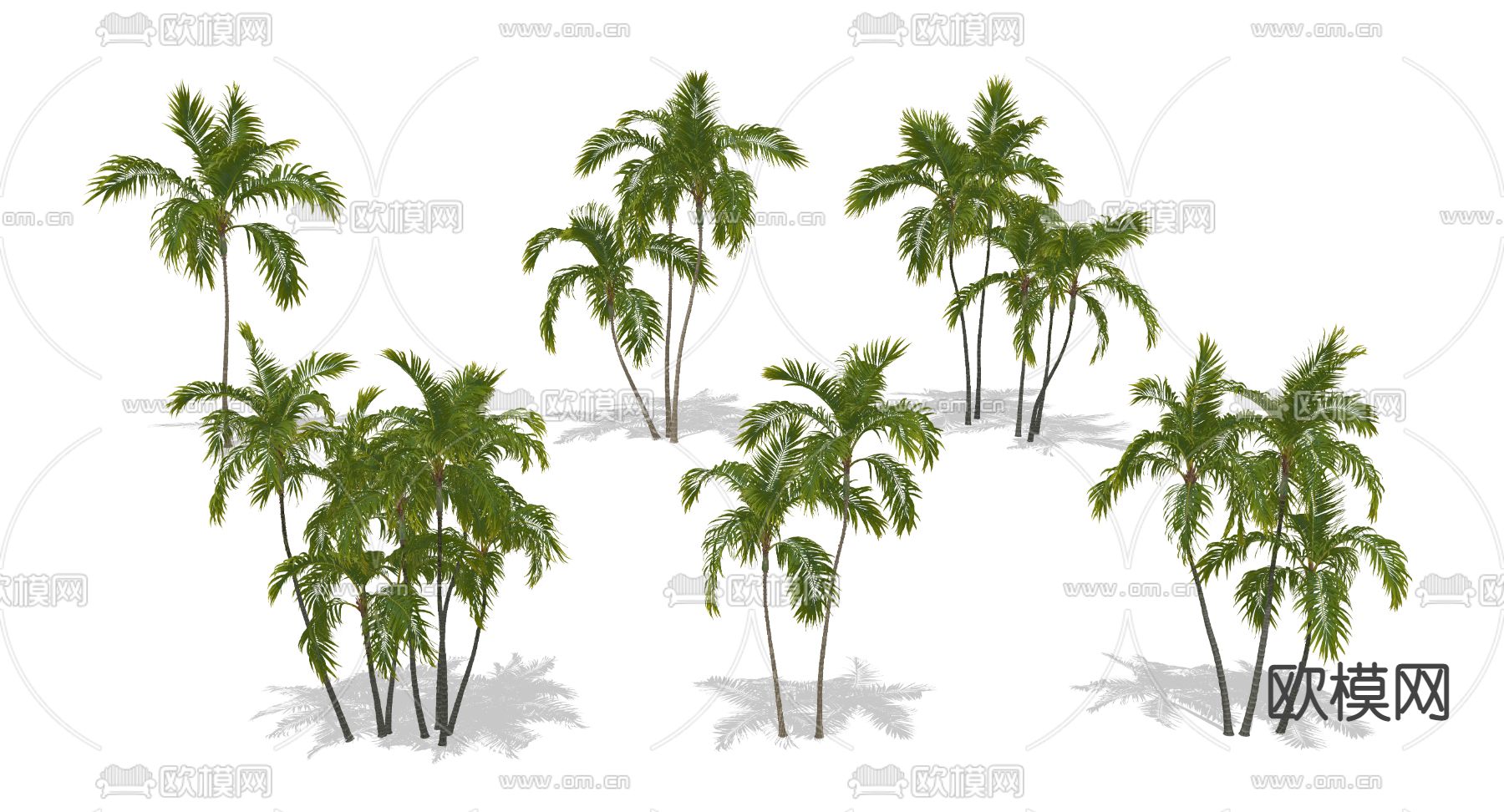 现代椰子树棕榈树su模型下载（渲染图2）