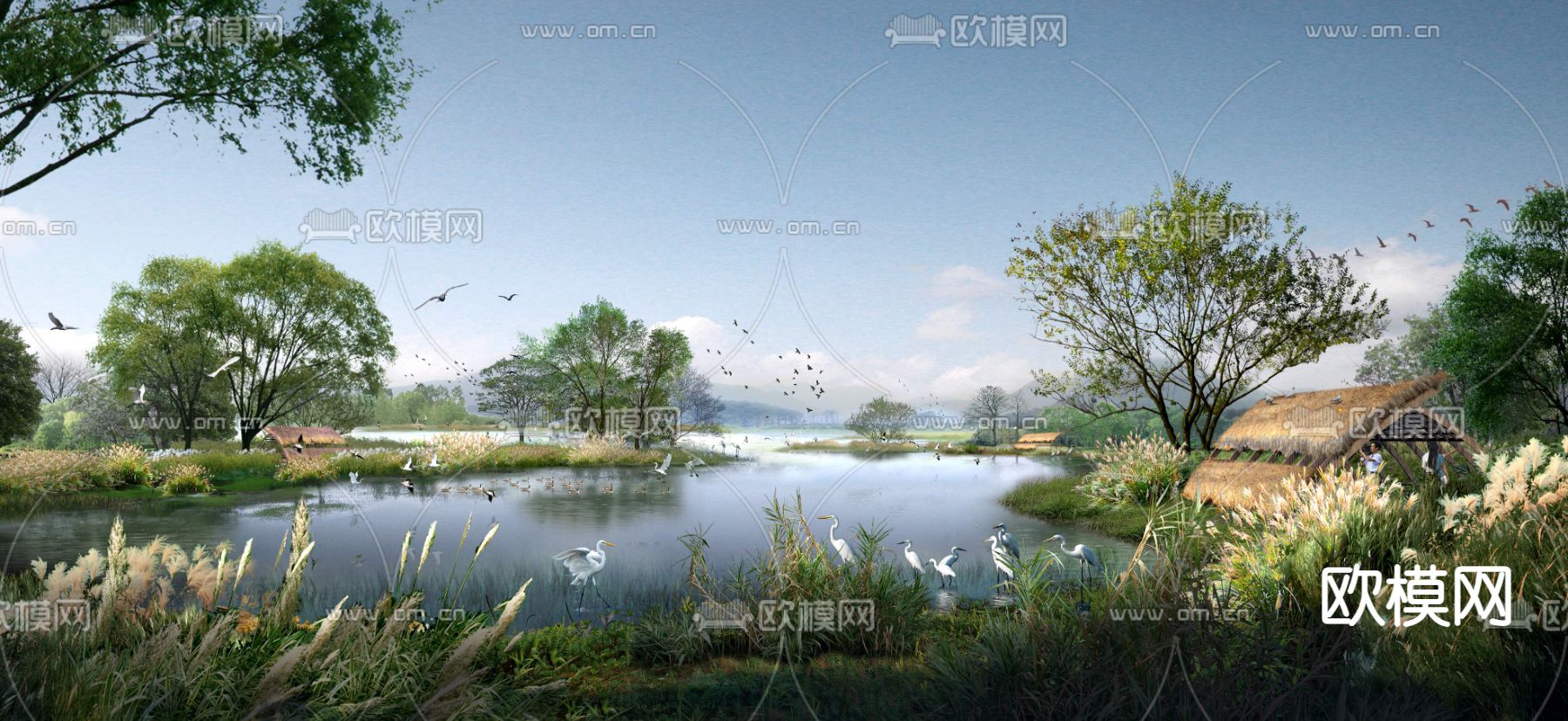 现代湿地园林景观psd下载