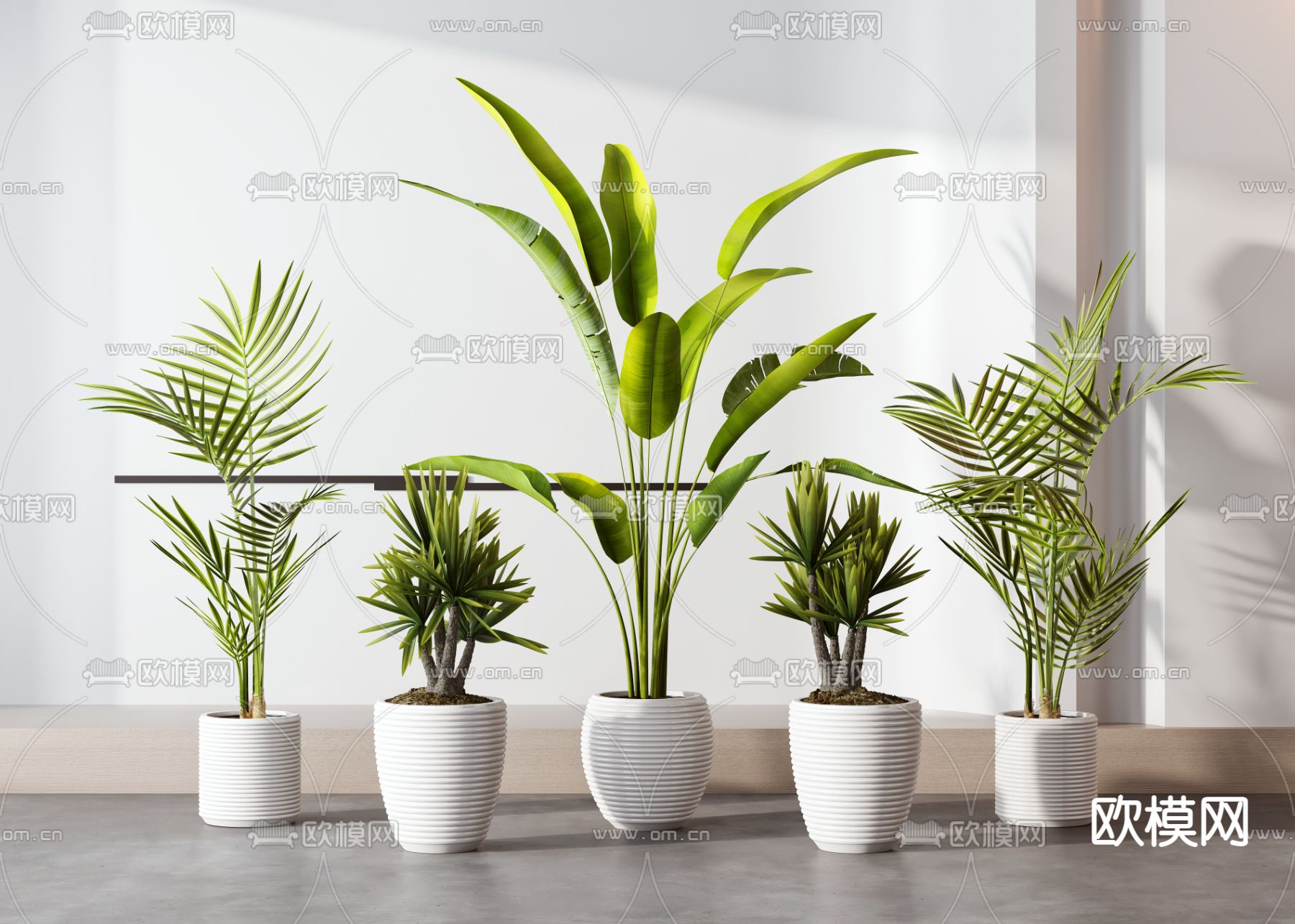 现代芭蕉叶千年木盆栽3d模型下载_ID12047638_3dmax免费模型-欧模网