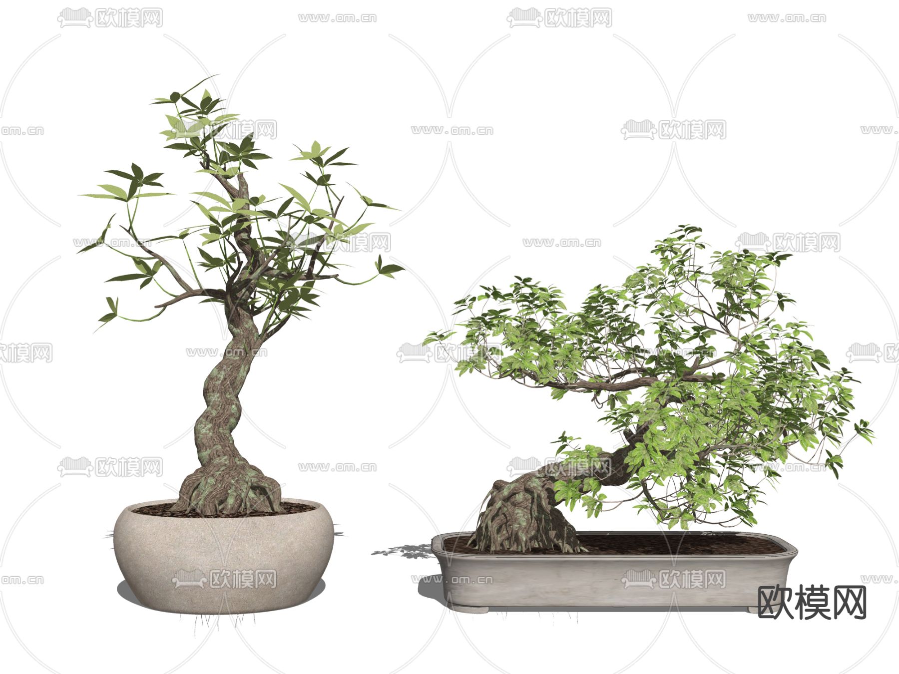 新中式绿植盆栽su模型下载（渲染图2）