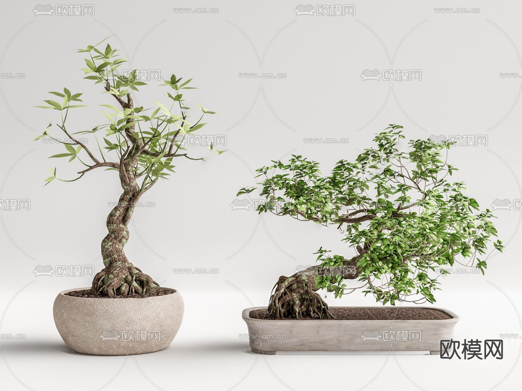 新中式绿植盆栽su模型下载（渲染图1）