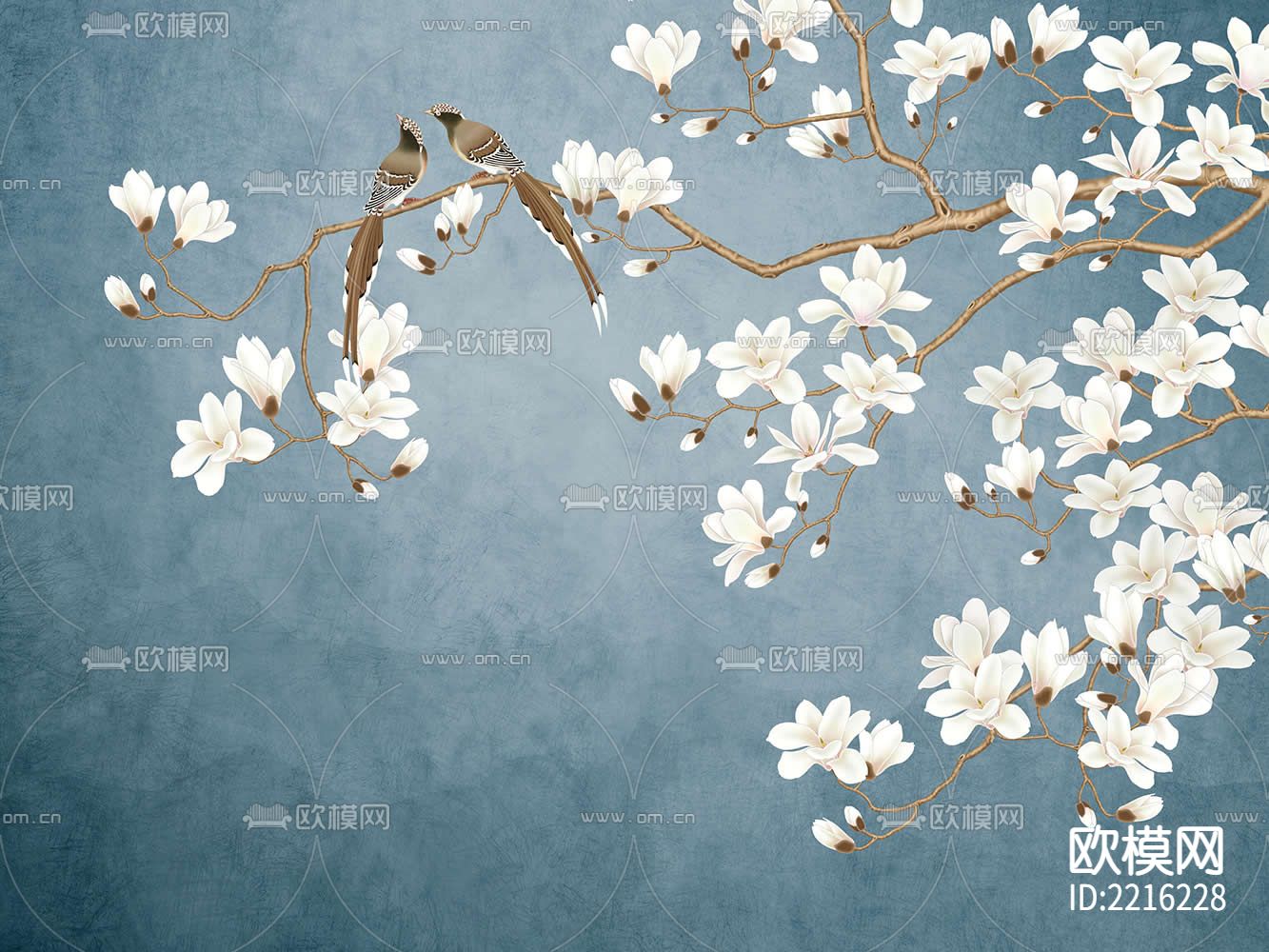 玉兰花鸟壁纸下载