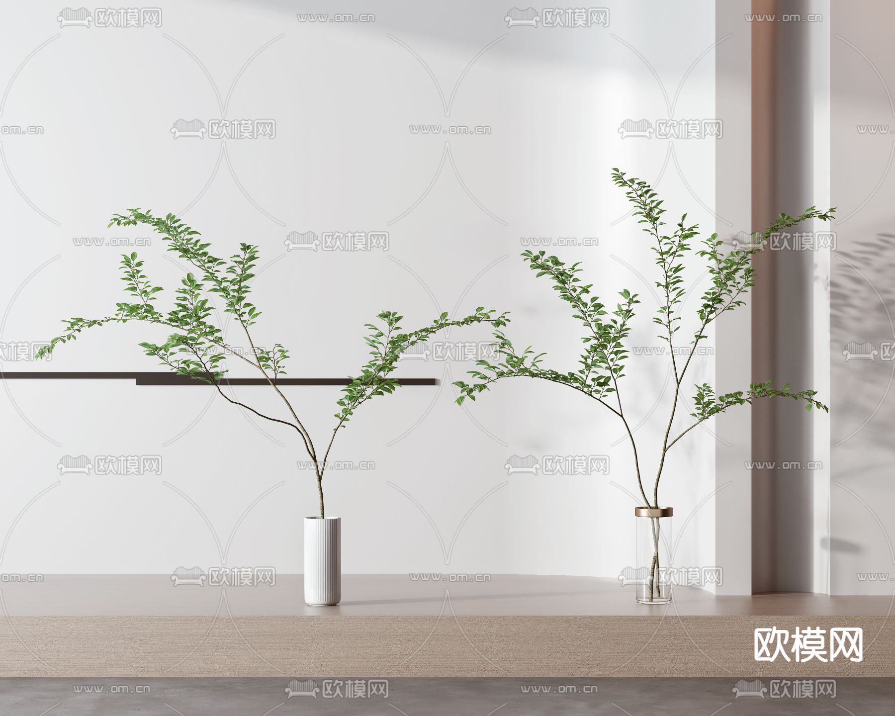 现代铁线蕨水培盆栽3d模型下载