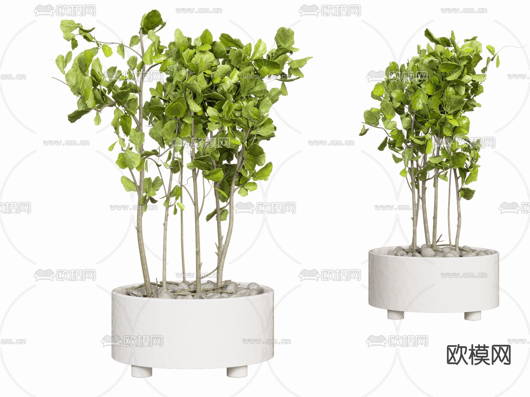 现代绿植盆栽3d模型下载_ID12050929_3dmax免费模型-欧模网