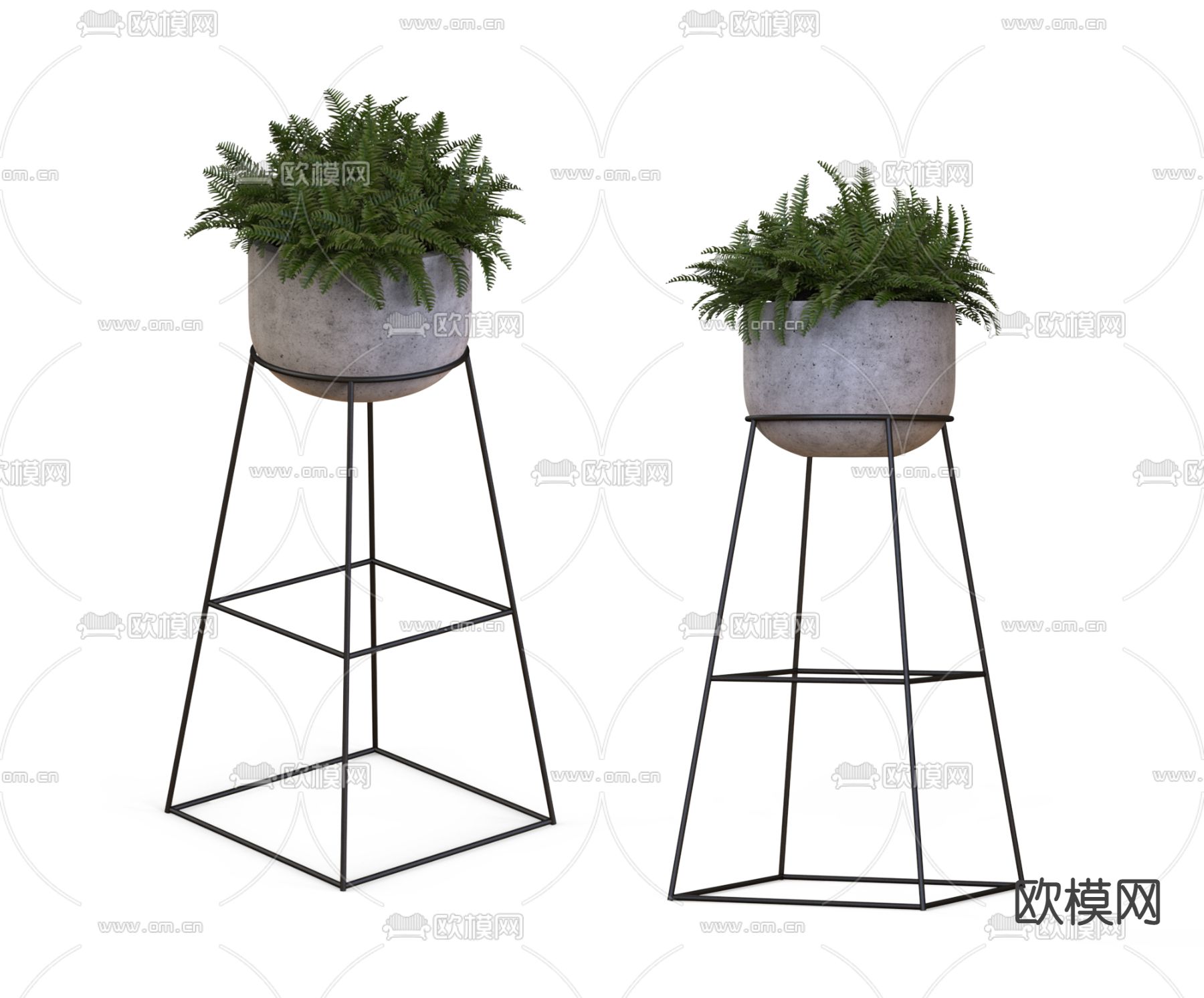 工业风蕨类植物盆栽3d模型下载