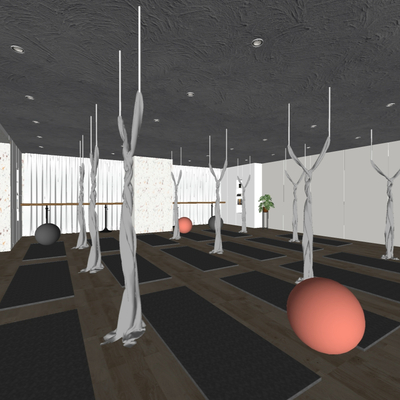  现代健身房瑜伽室su模型 