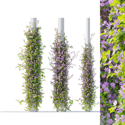  现代植物藤蔓su模型 