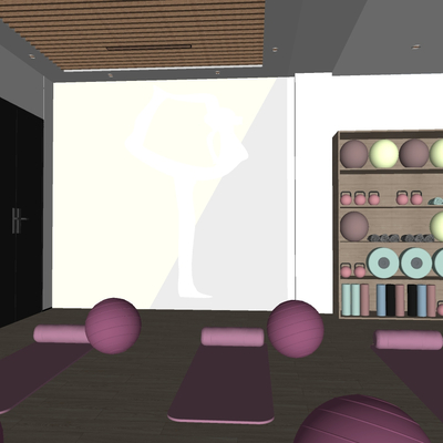  现代健身房瑜伽室su模型 