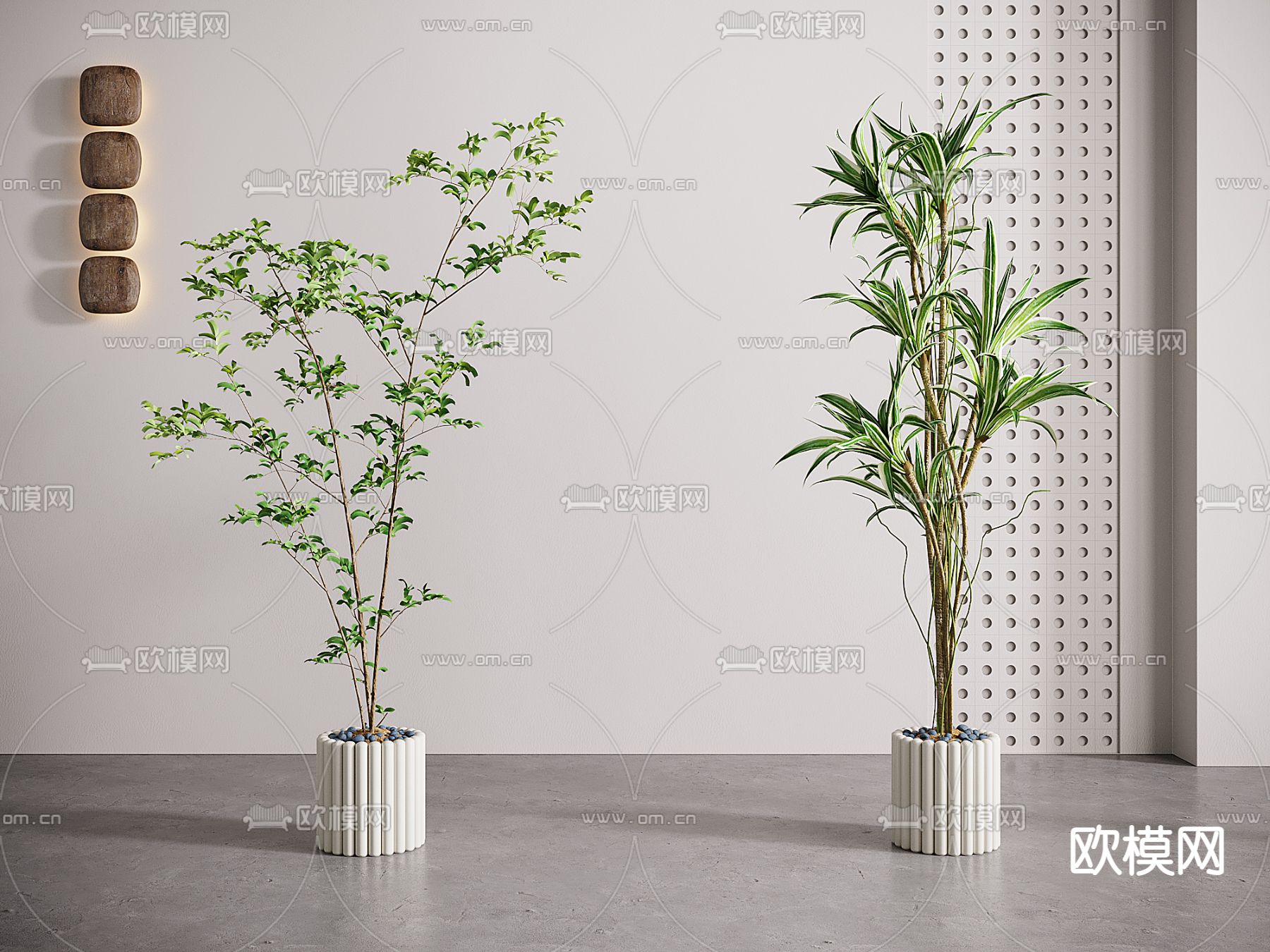 现代铁线蕨绿植盆栽3d模型下载