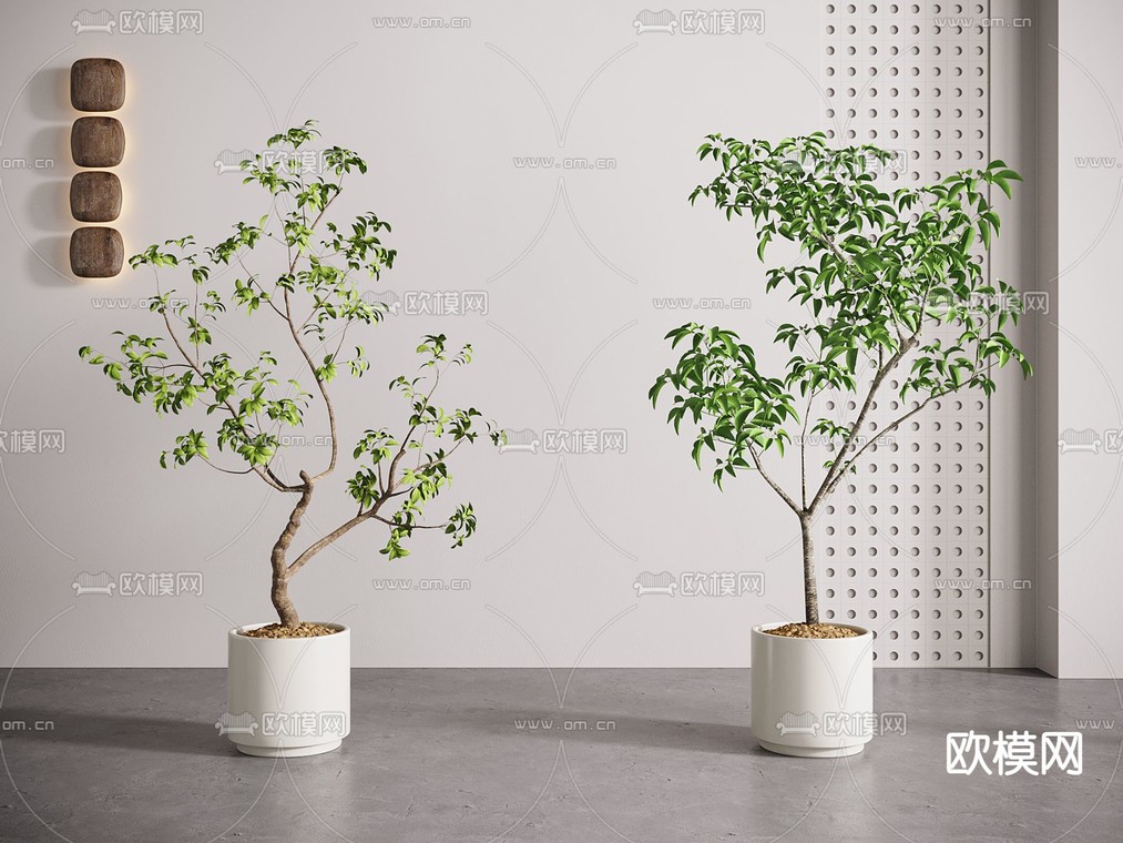 垂叶榕幌伞枫绿植盆栽3d模型下载_ID12056457_3dmax免费模型-欧模网