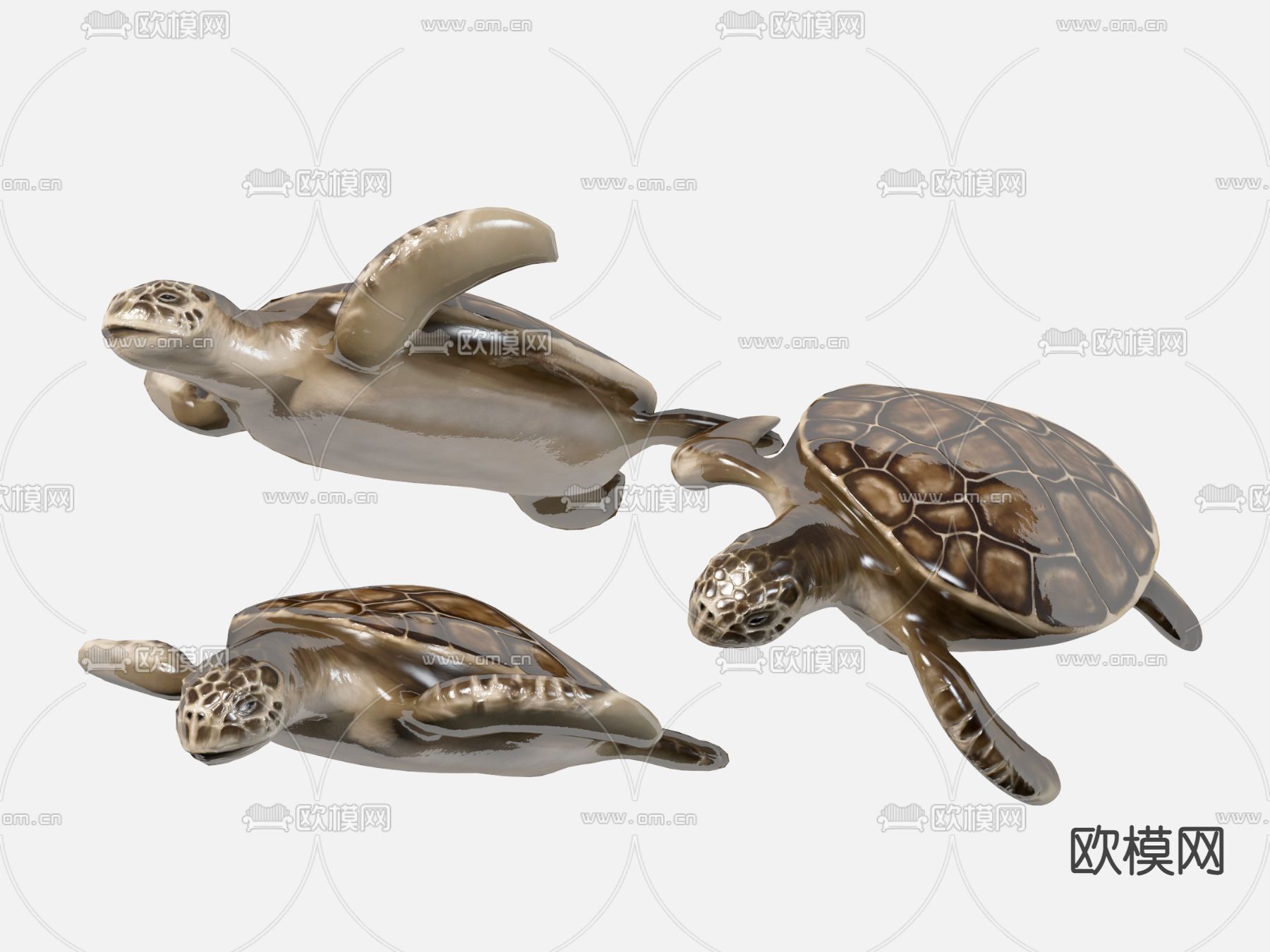 甲鱼乌龟3d模型下载