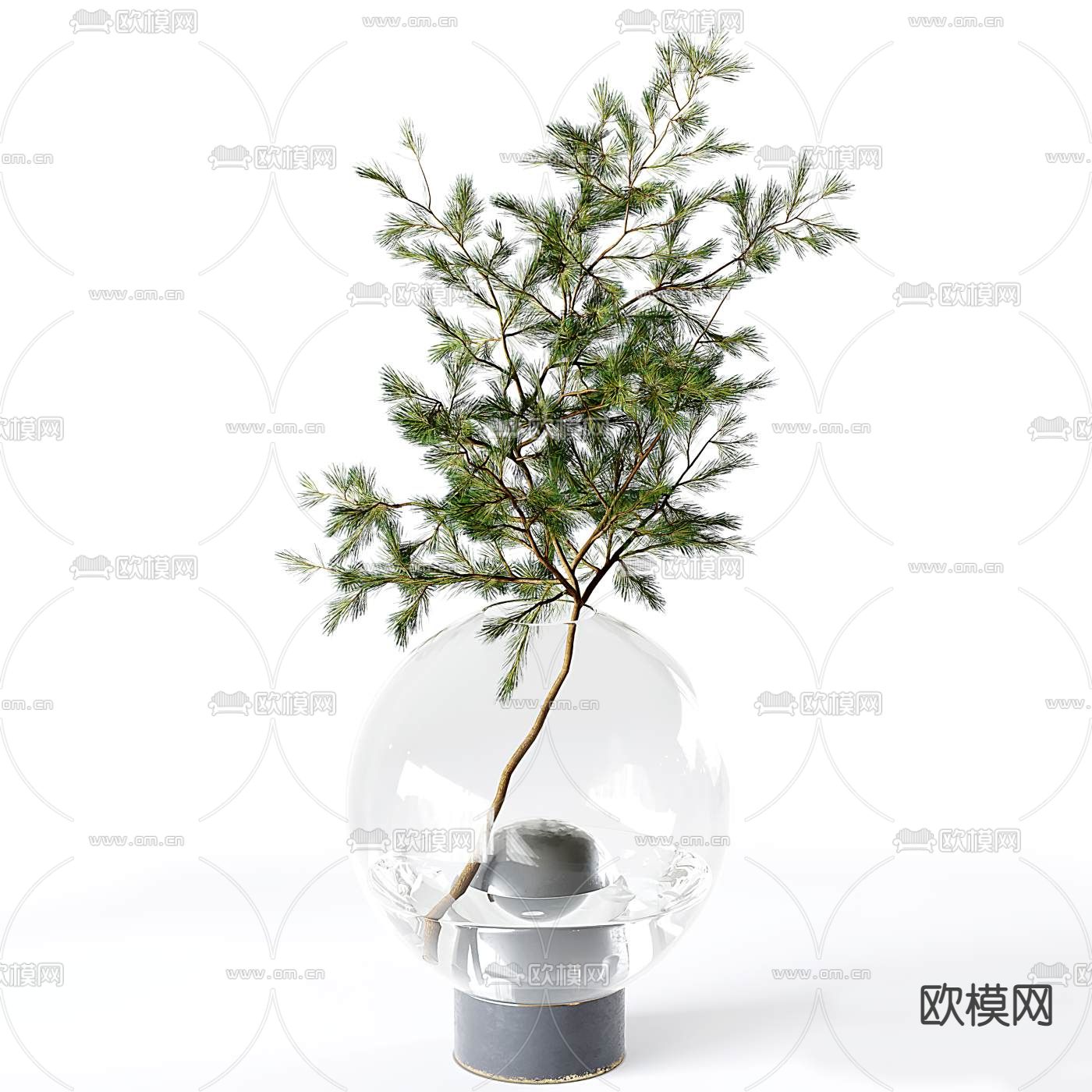 现代水培植物花瓶花艺3d模型下载（渲染图2）