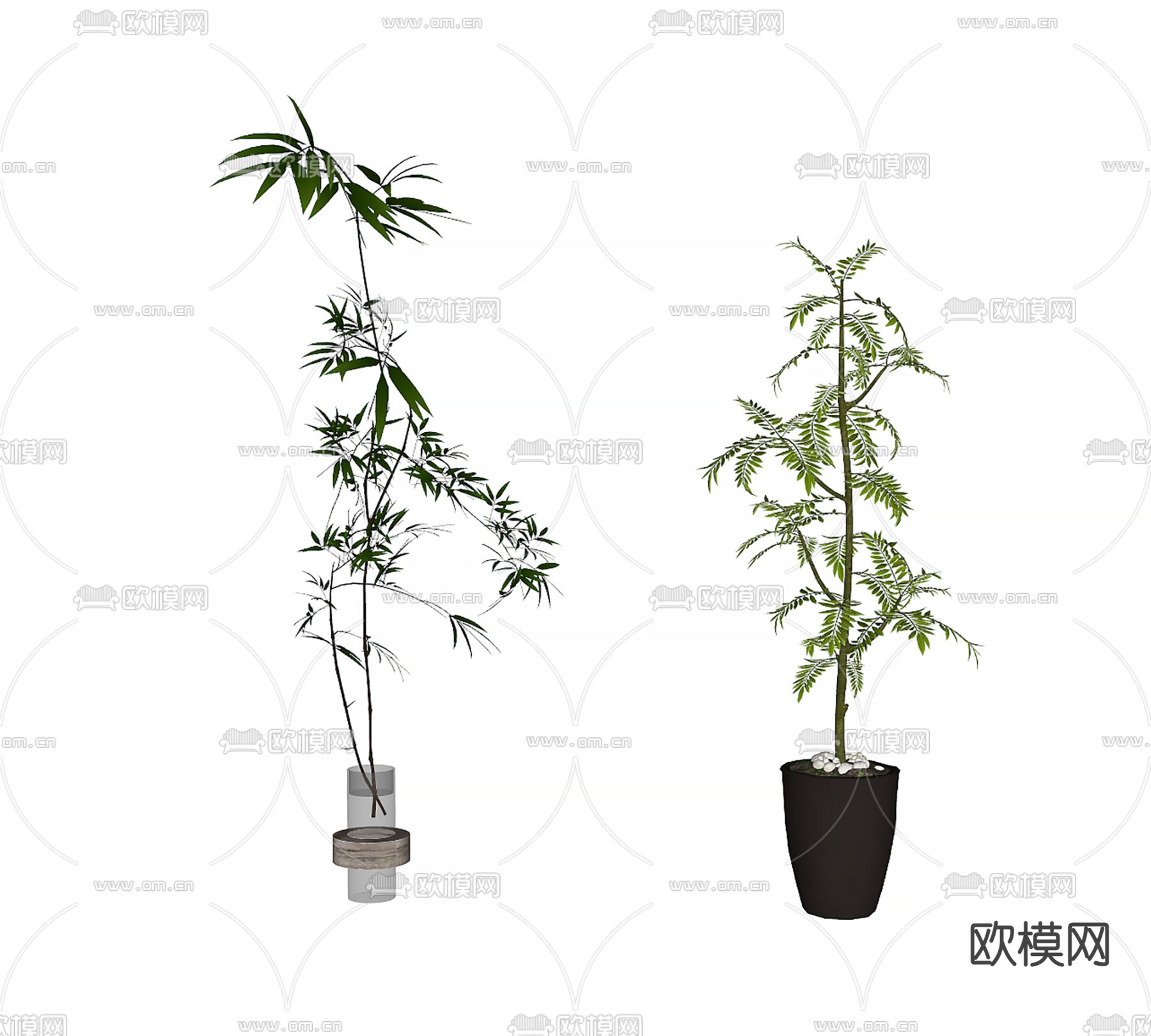新中式水培竹子su模型