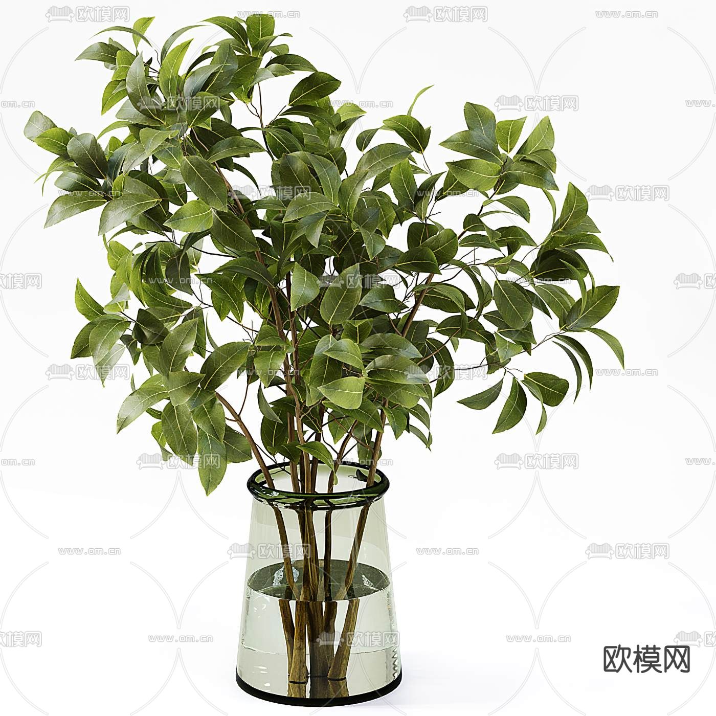 现代水培植物花瓶花艺3d模型下载（渲染图4）
