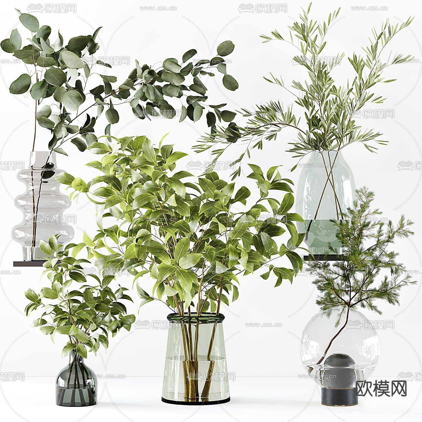 现代水培植物花瓶花艺3d模型下载（渲染图1）