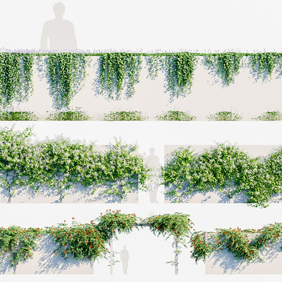  现代绿植藤蔓su模型 