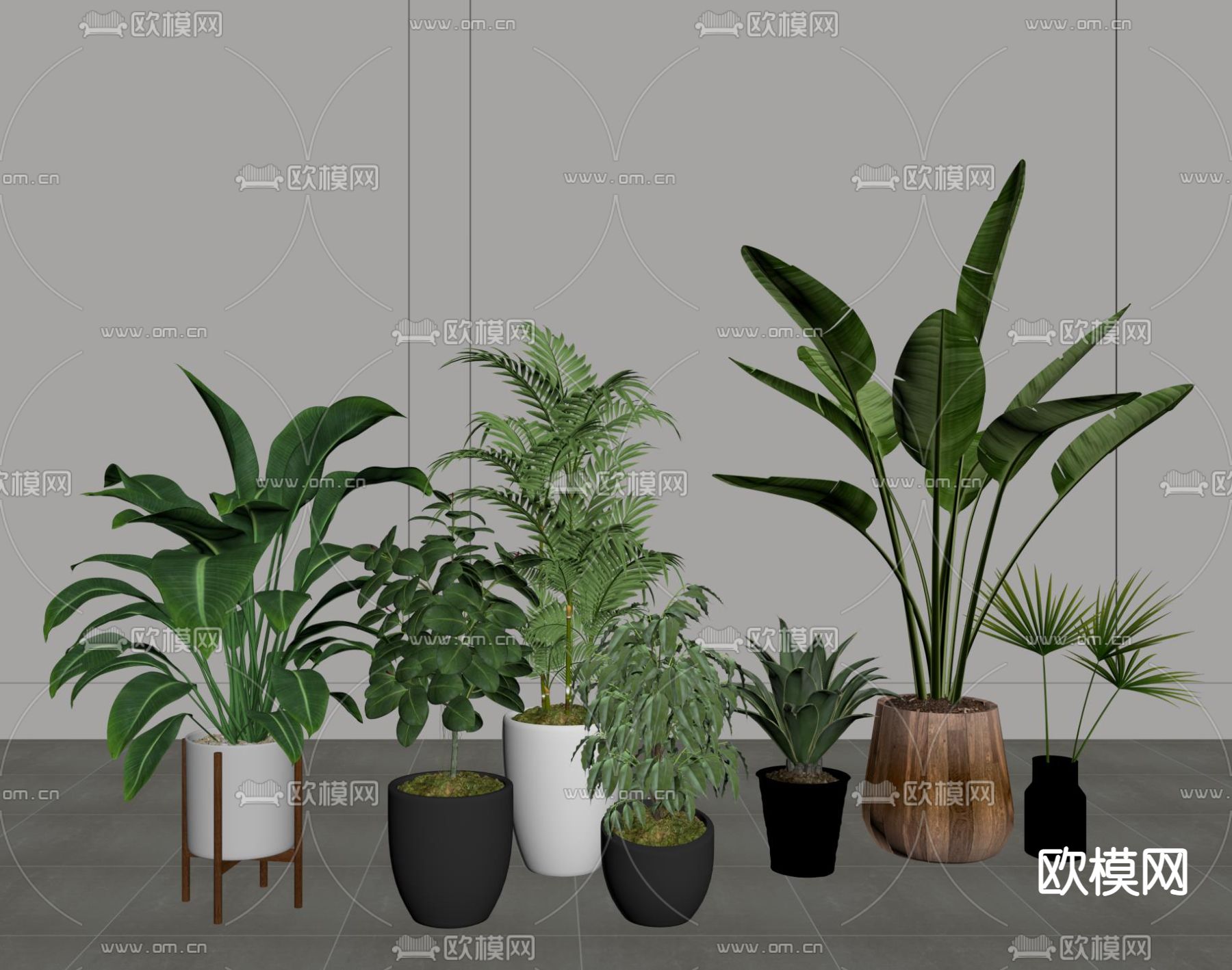 现代植物盆栽su模型下载（渲染图2）