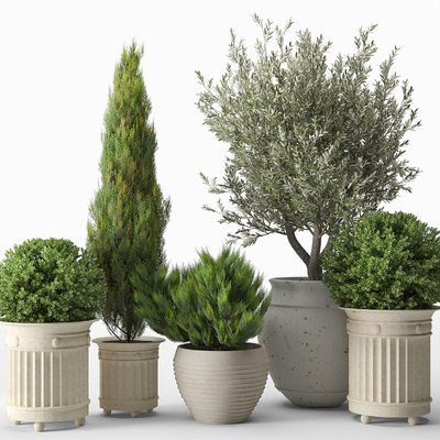  简欧花钵盆栽su模型 