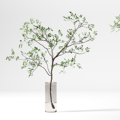  现代水培绿植花瓶su模型 