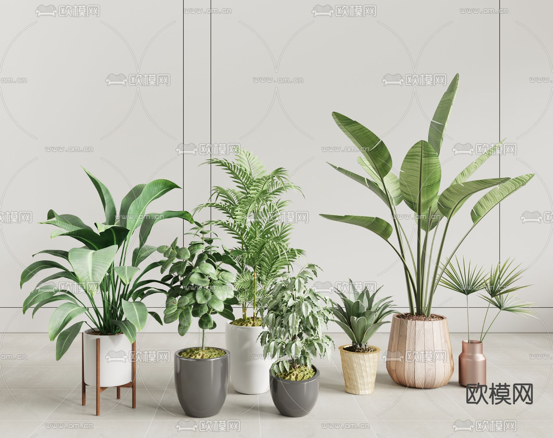 现代植物盆栽su模型下载（渲染图1）