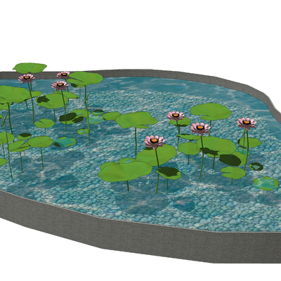  现代池塘荷叶莲花su模型 