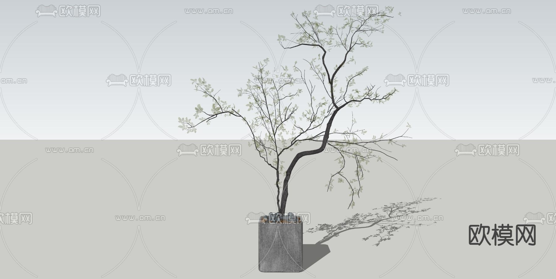 北欧水泥花盆盆栽su模型下载（渲染图2）