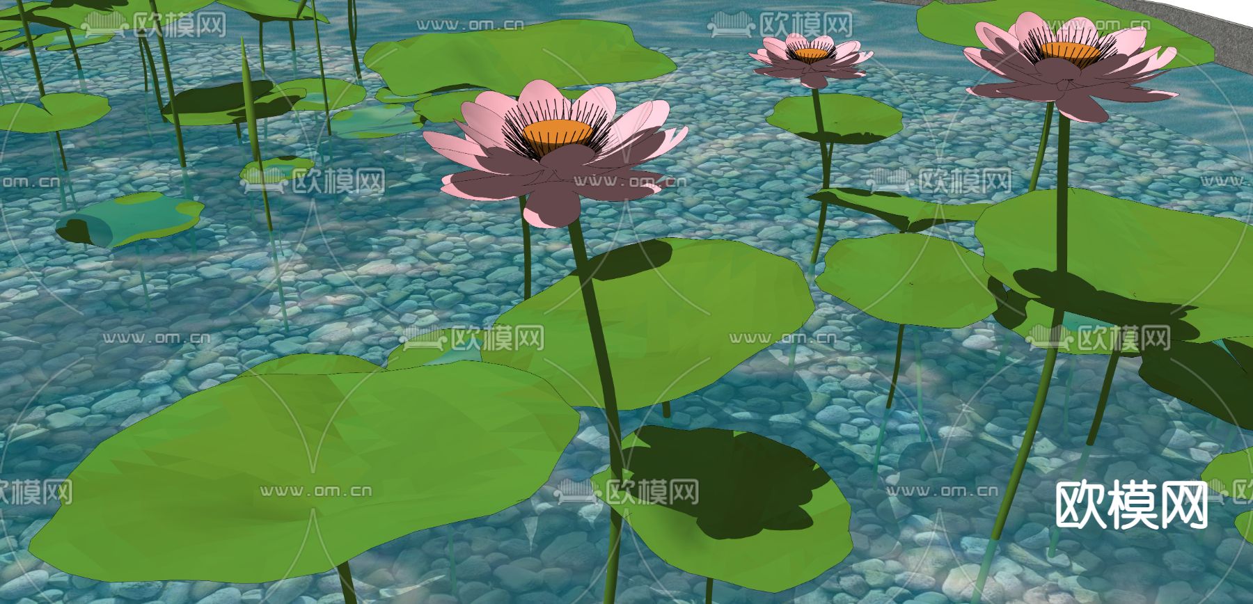现代池塘荷叶莲花su模型