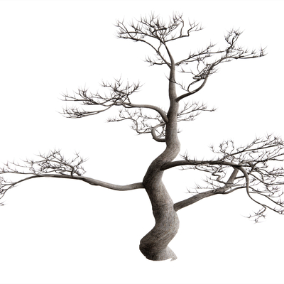  现代枯树su模型 