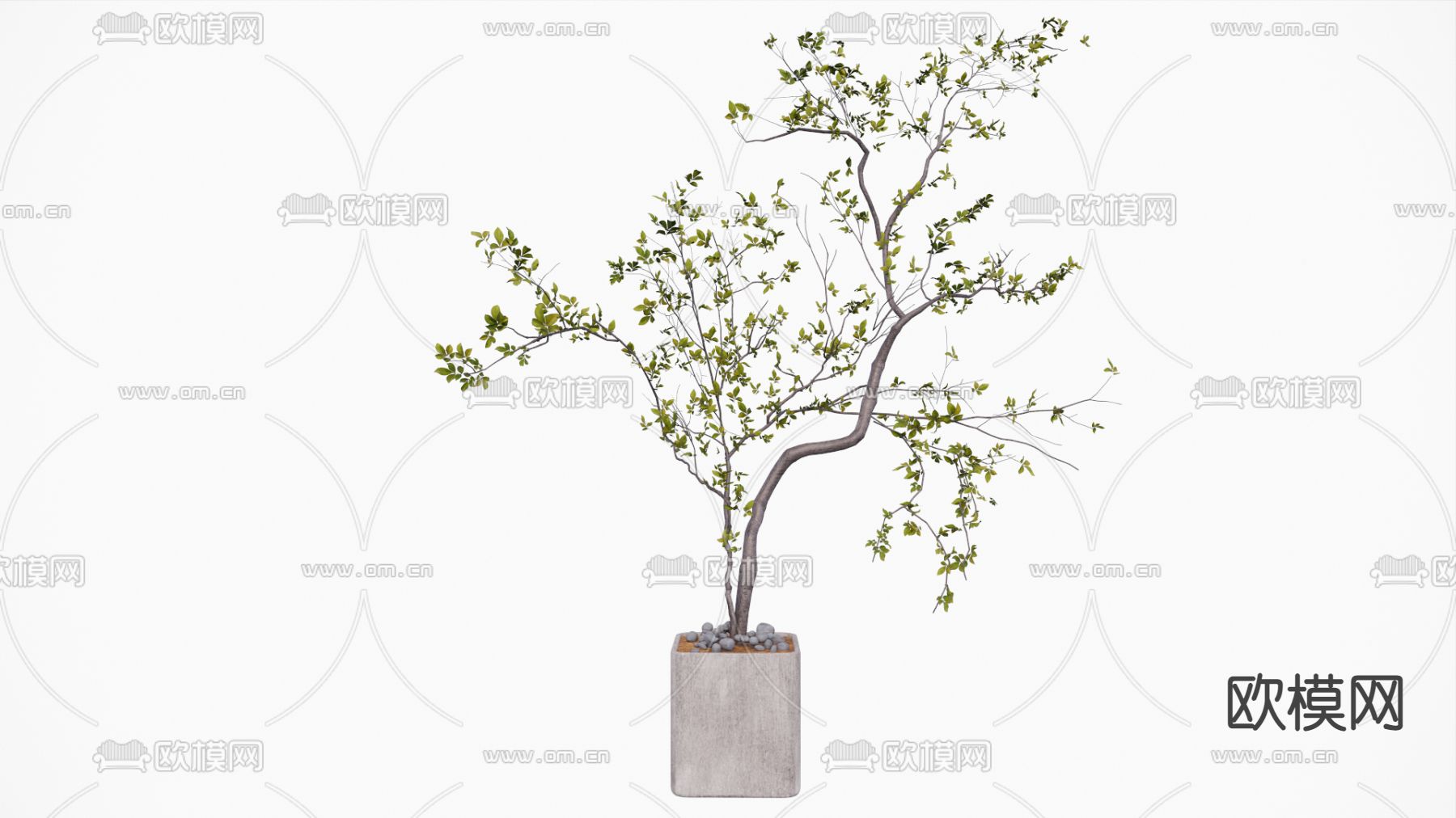 北欧水泥花盆盆栽su模型下载（渲染图1）