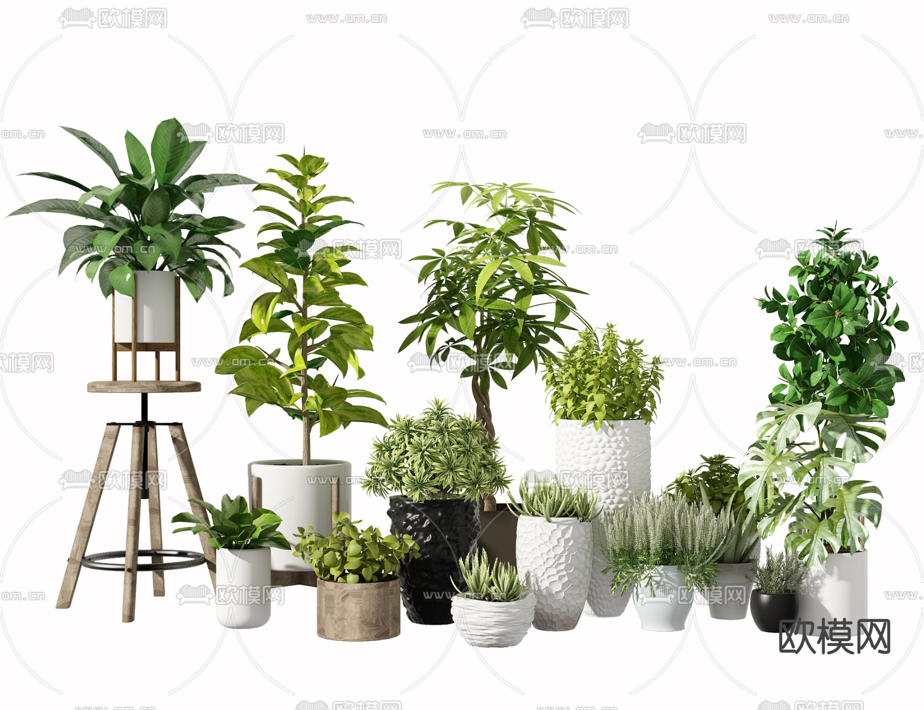 现代绿植盆栽3d模型下载