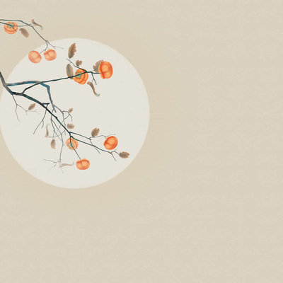  华琴柿柿如意壁纸 