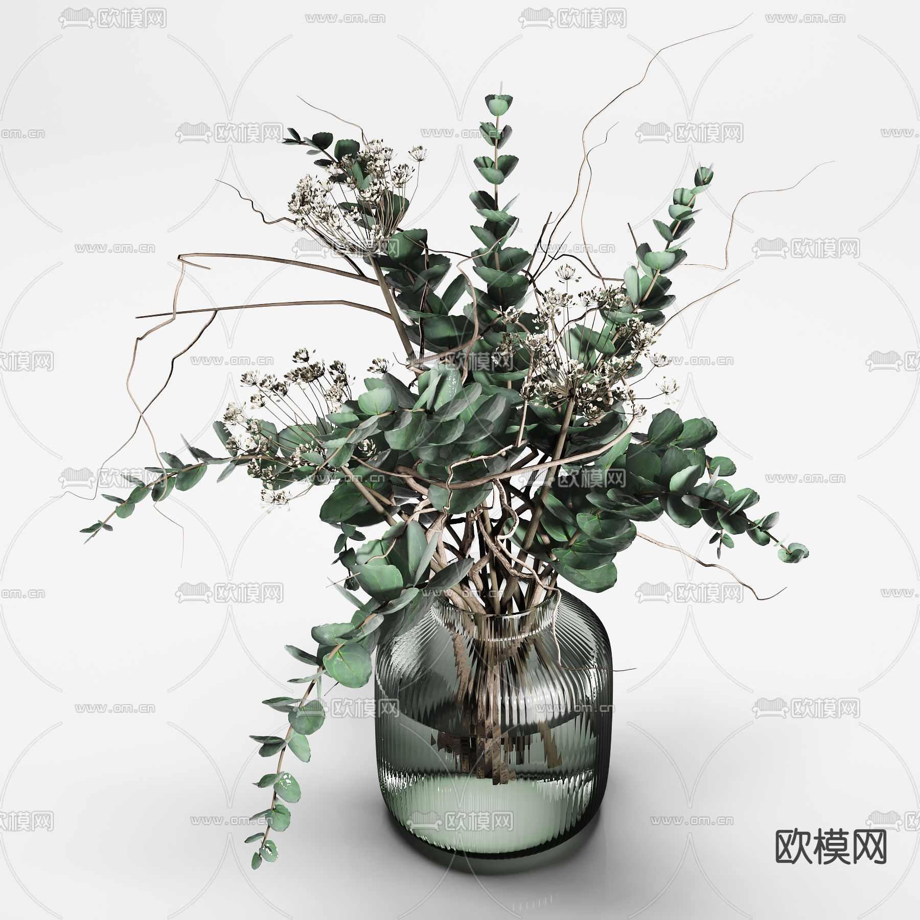 现代水培植物玻璃花瓶花卉3d模型下载（渲染图2）