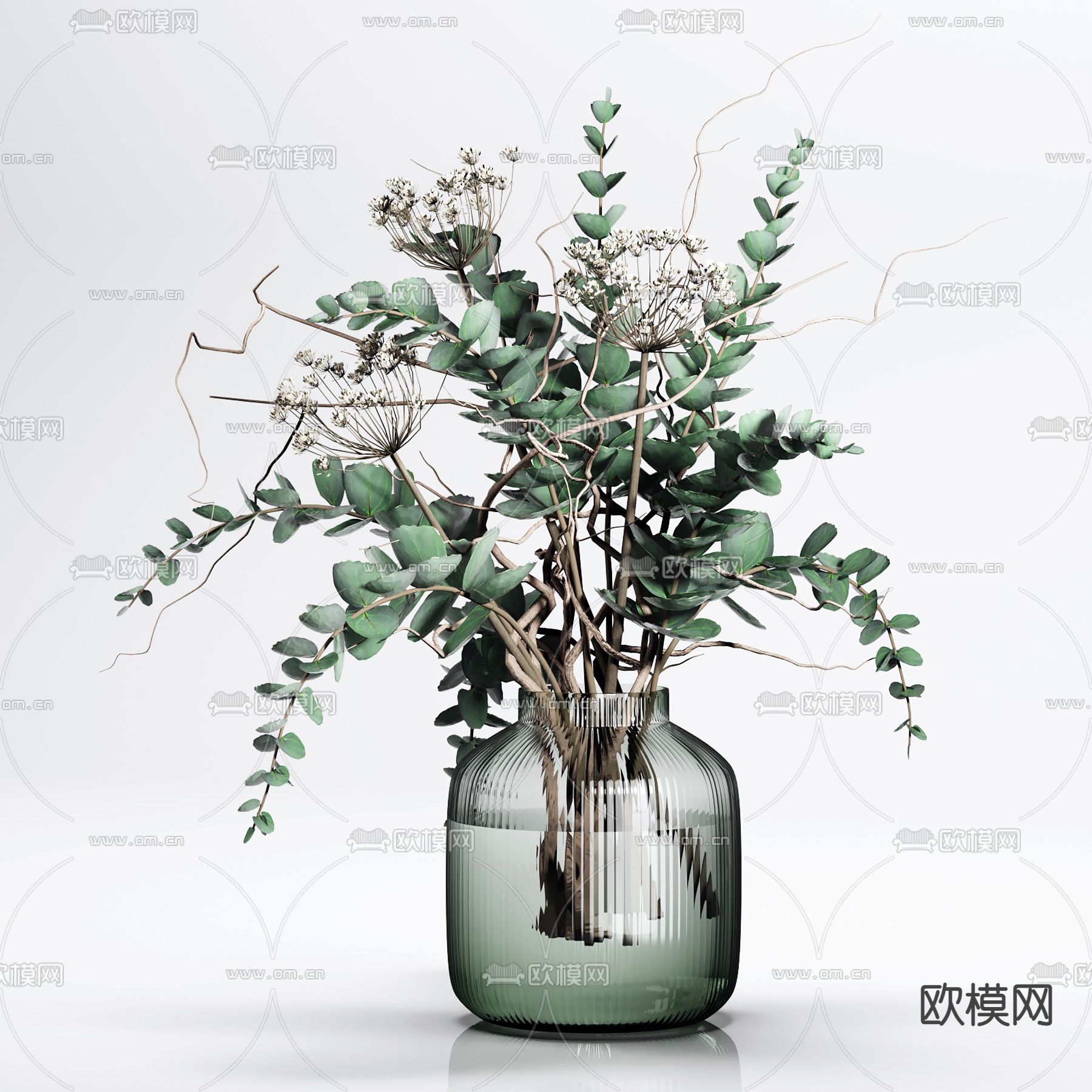 现代水培植物玻璃花瓶花卉3d模型下载（渲染图1）