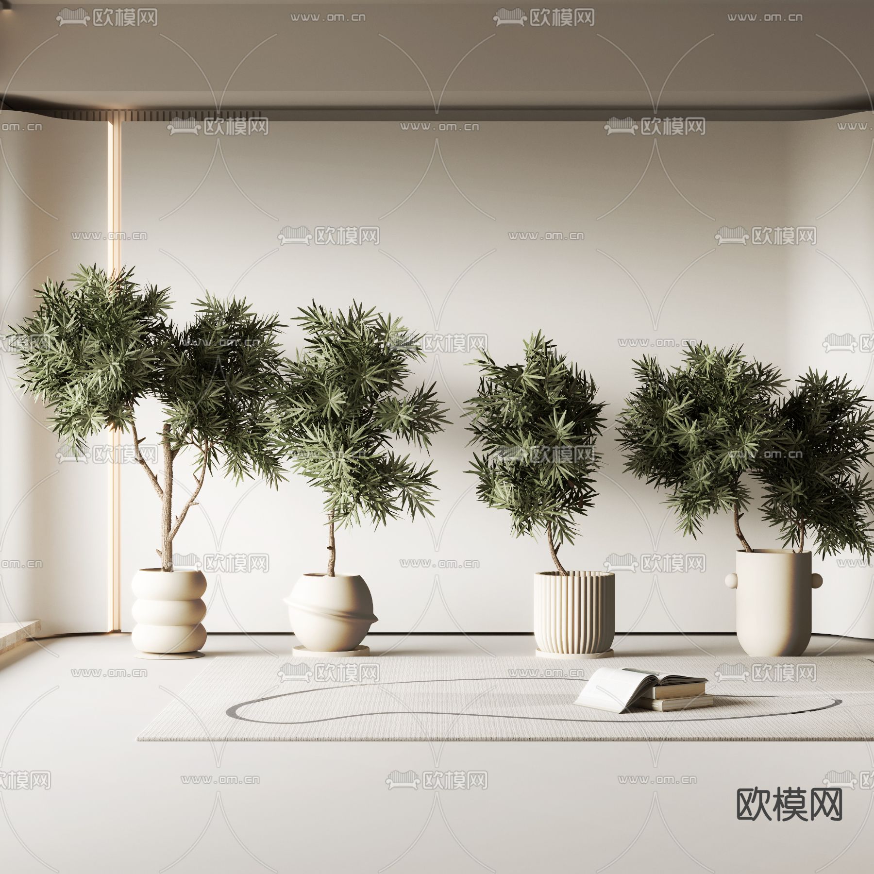 奶油风针叶树绿植盆栽3d模型下载