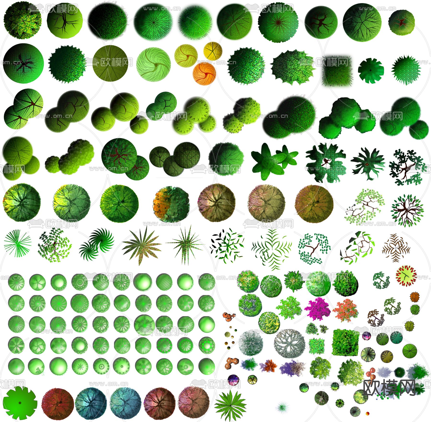 现代经典平面植物景观psd下载