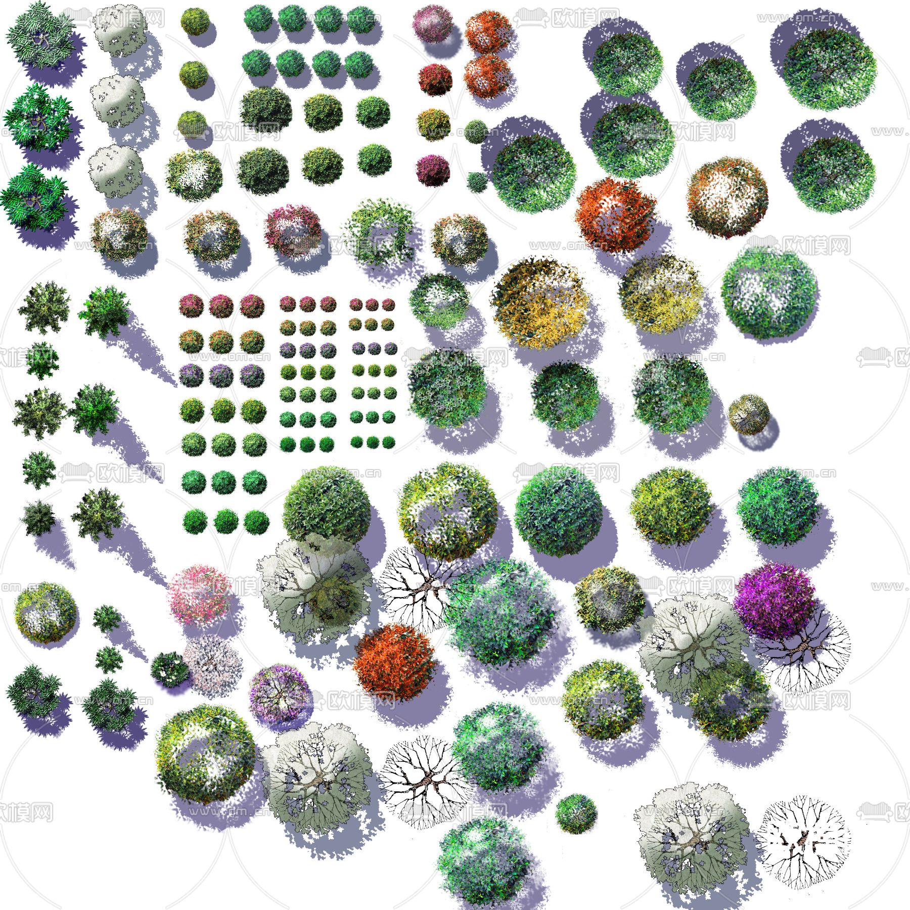 现代平面植物景观psd下载