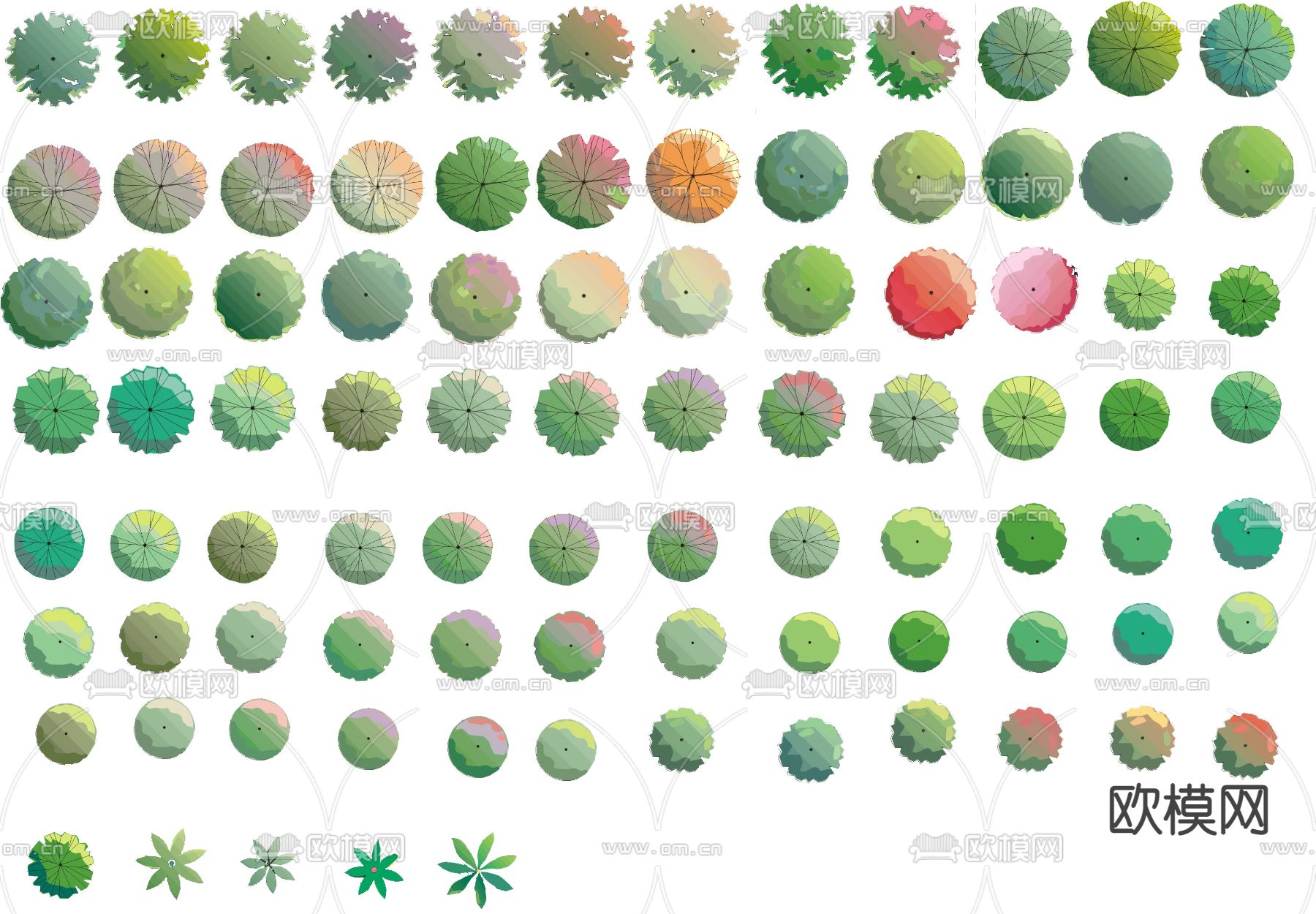 现代经典平面植物景观psd下载