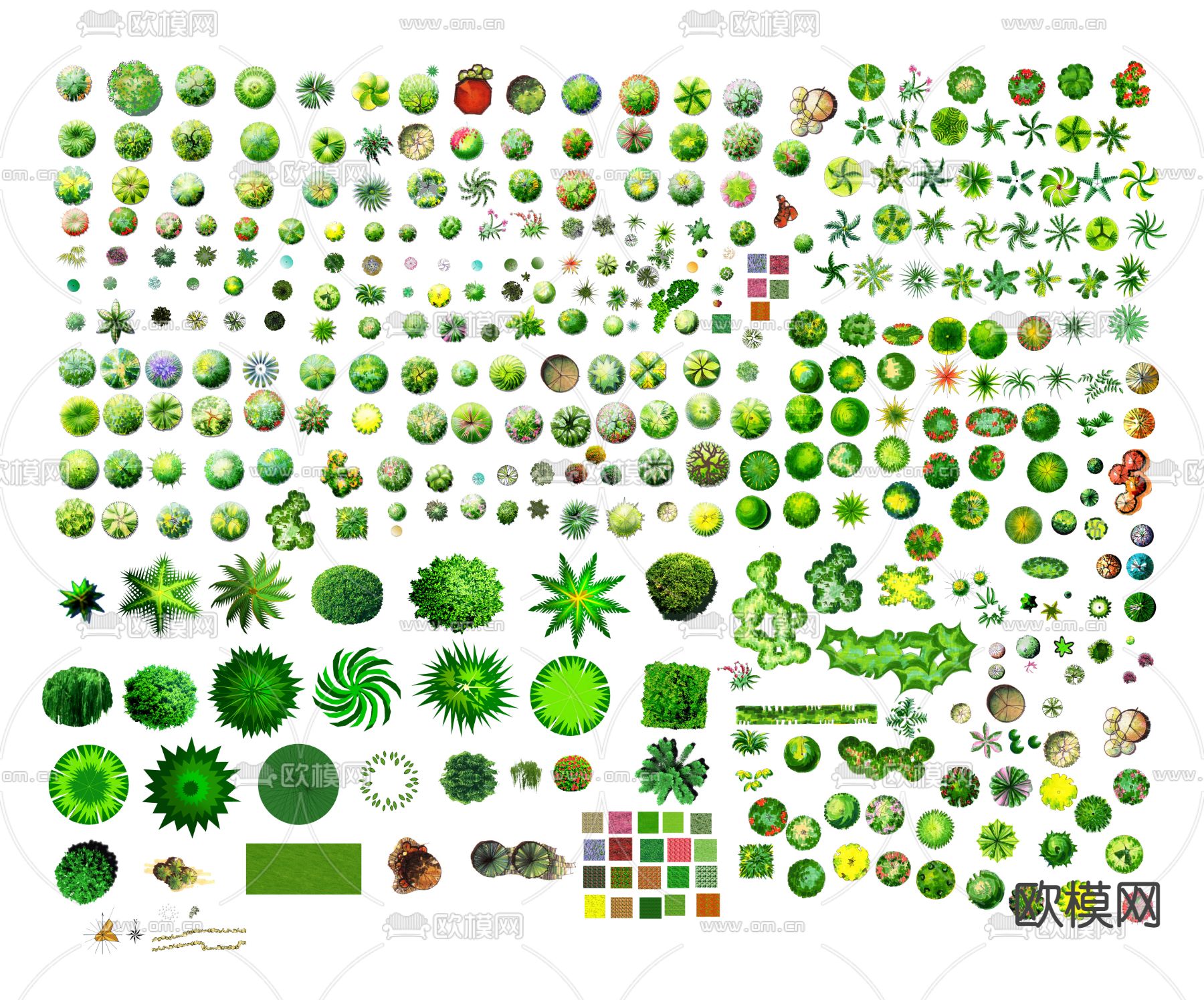 现代经典平面植物景观psd下载