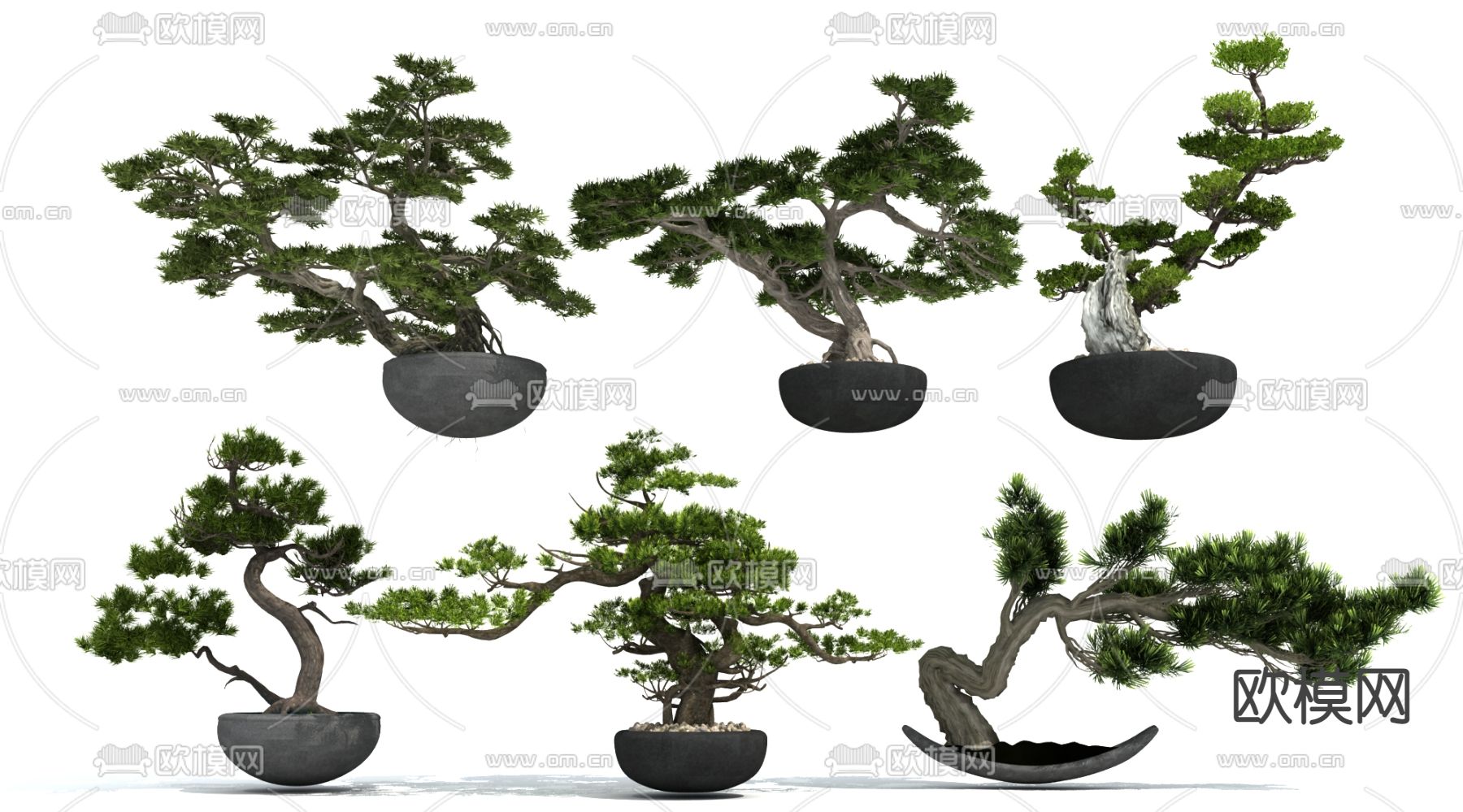 新中式罗汉松盆栽盆景3d模型下载_ID12070803_3dmax免费模型-欧模网