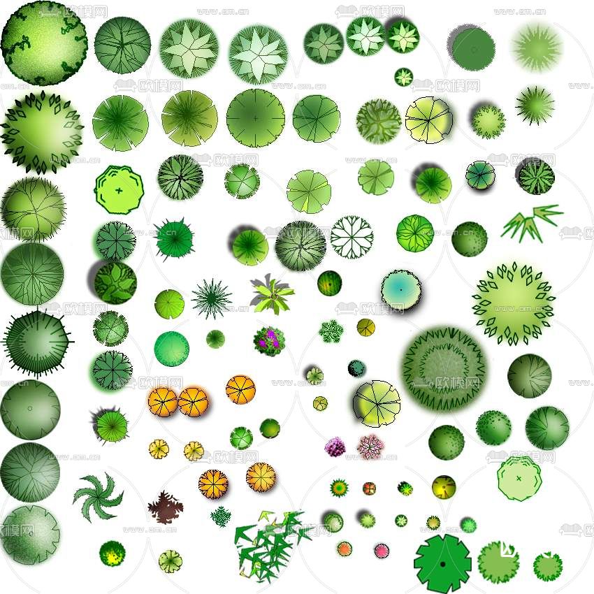 现代经典平面植物景观psd下载